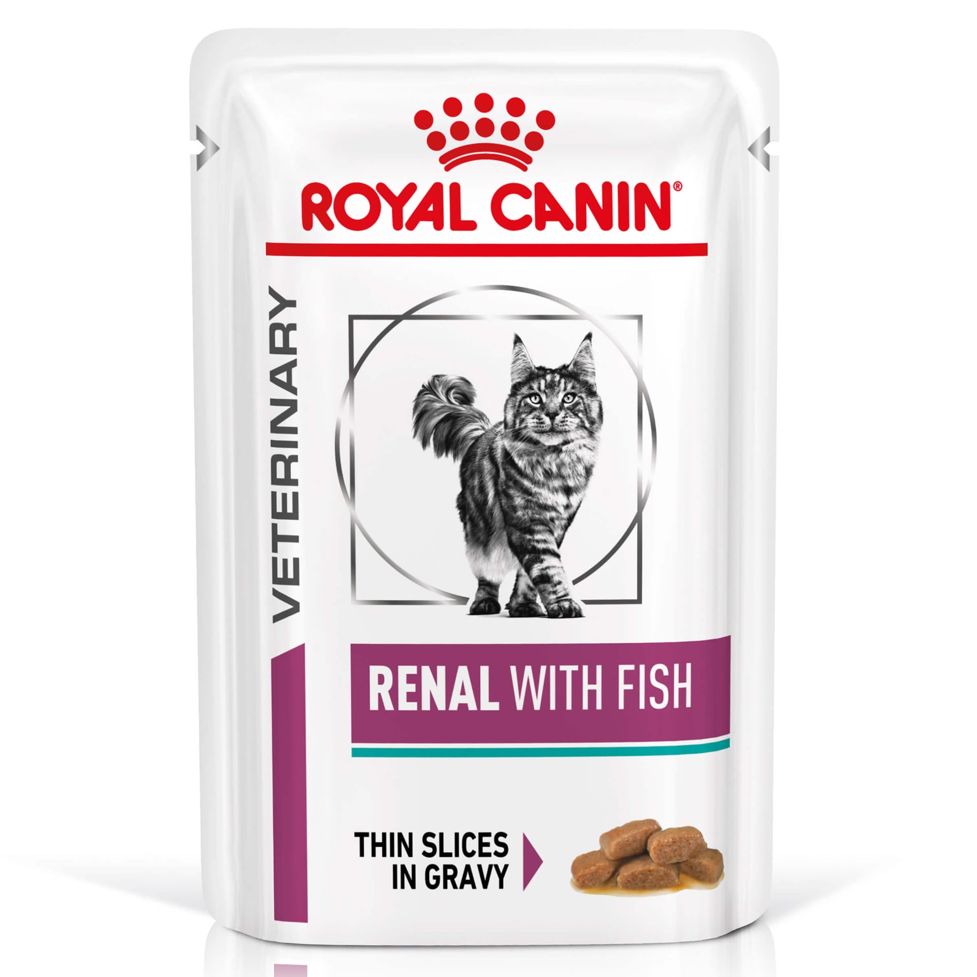 Renal Fisch