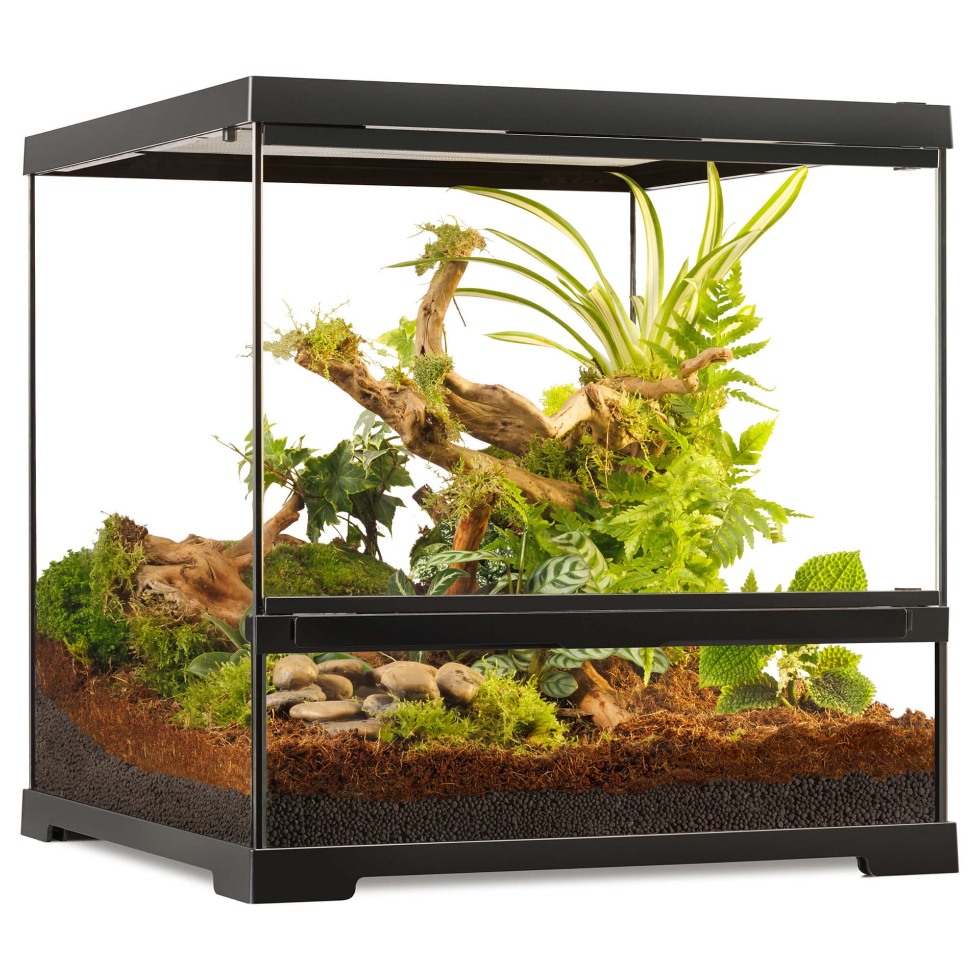 Pro Terrarium