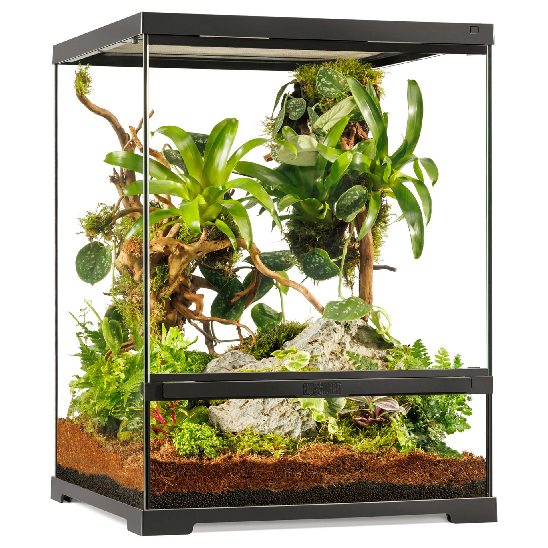 Pro Terrarium