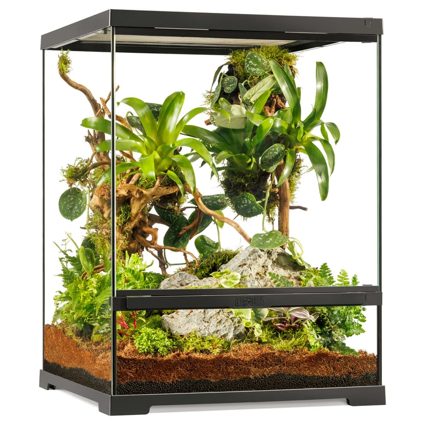 Pro Terrarium