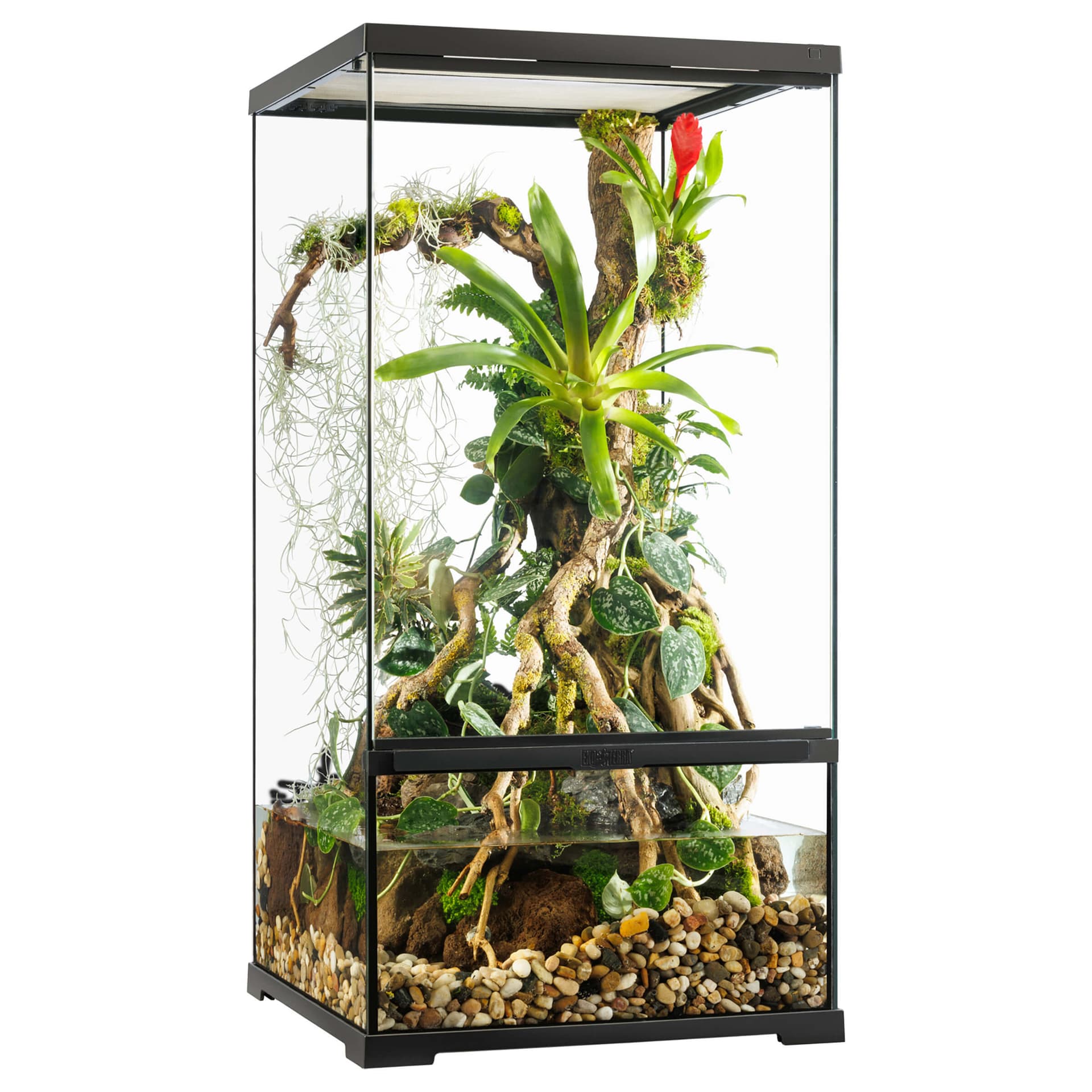 Pro Paludarium