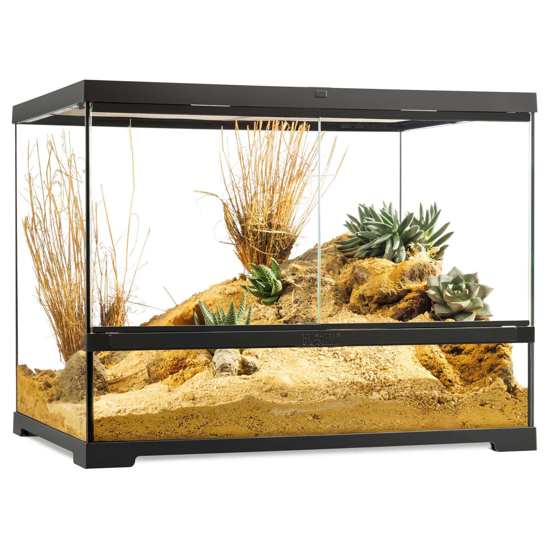 Pro Terrarium