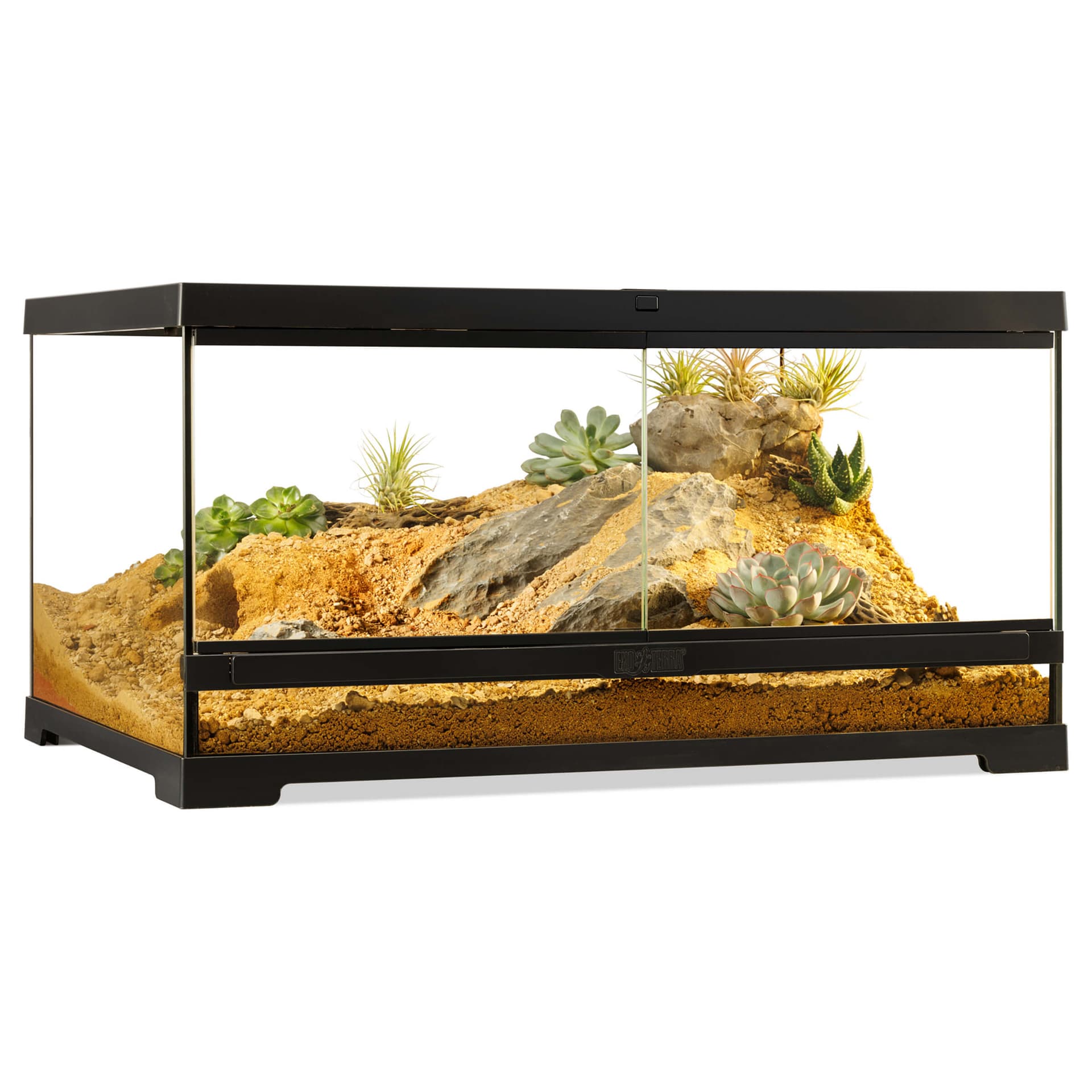 Pro Terrarium