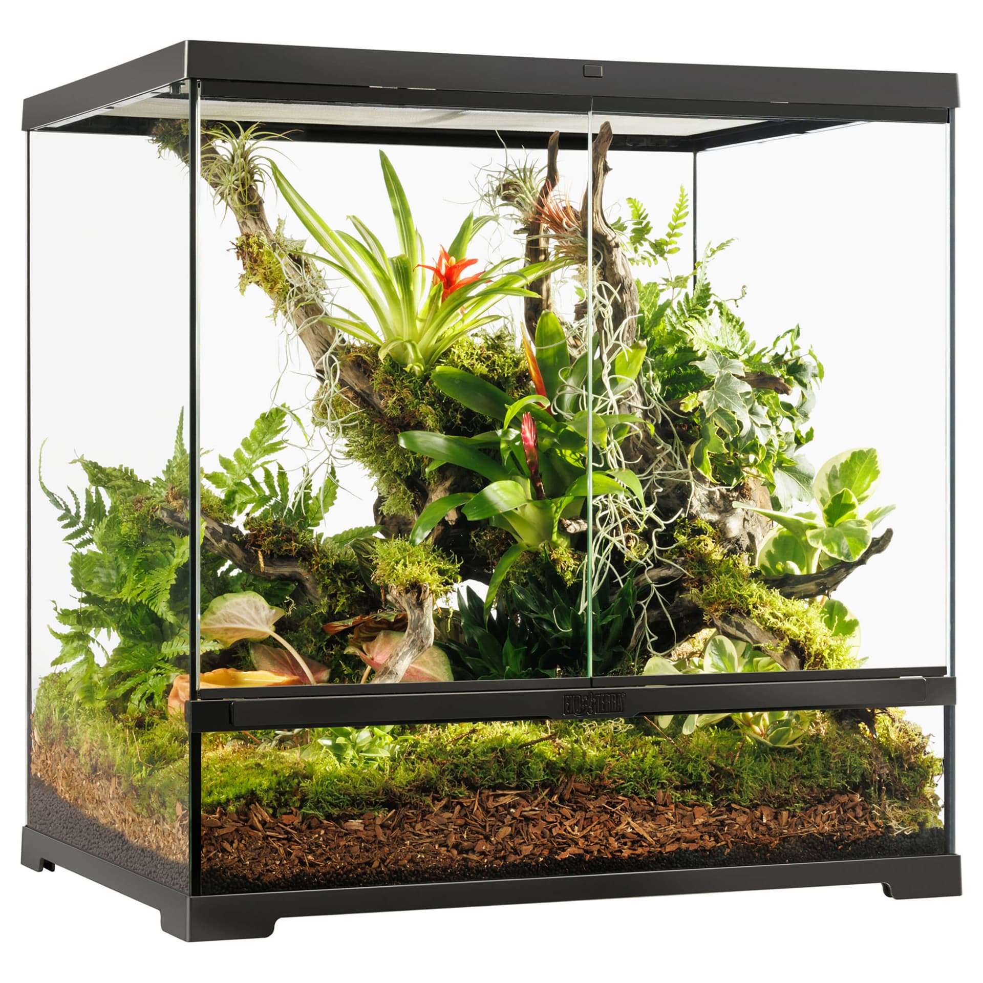 Pro Terrarium