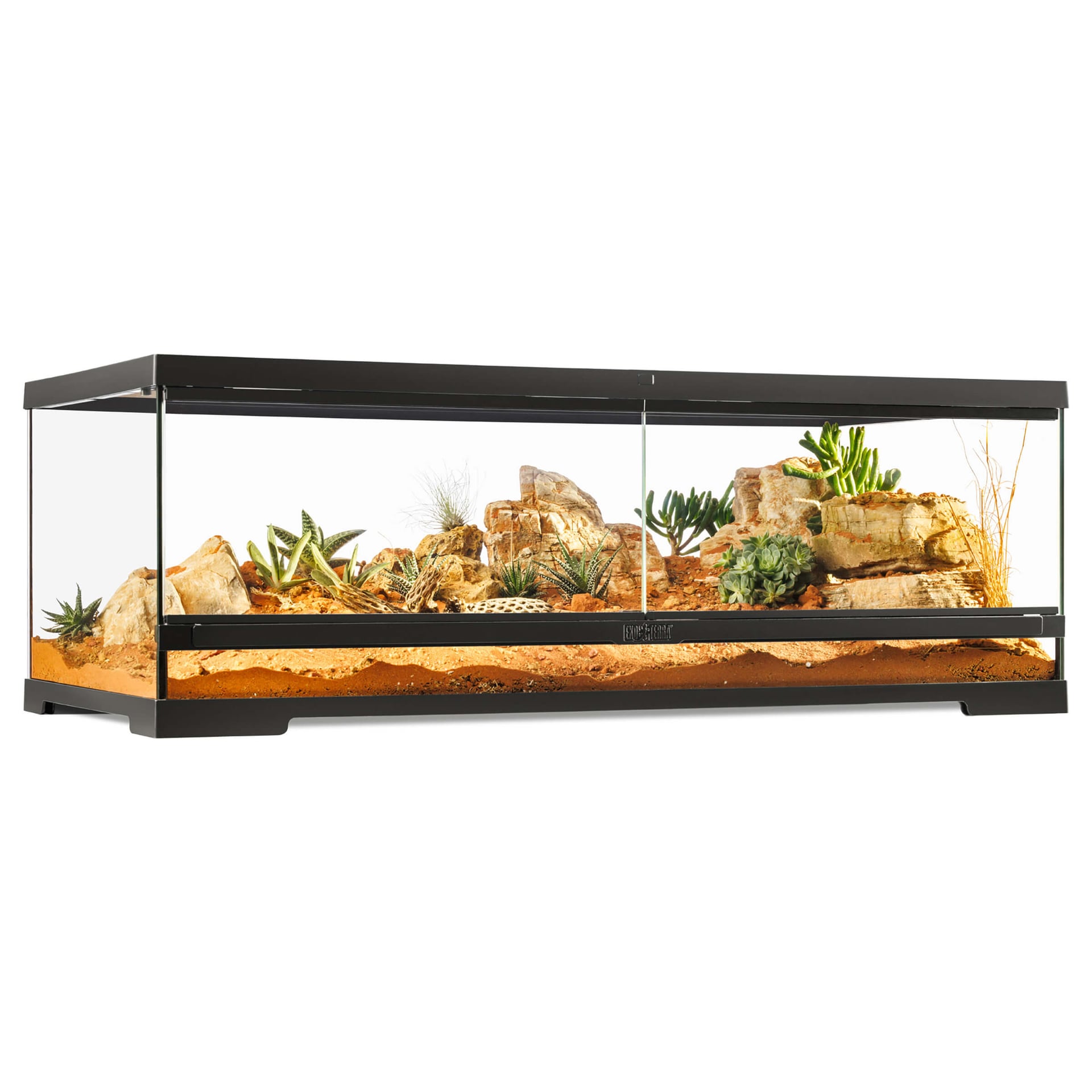 Pro Terrarium