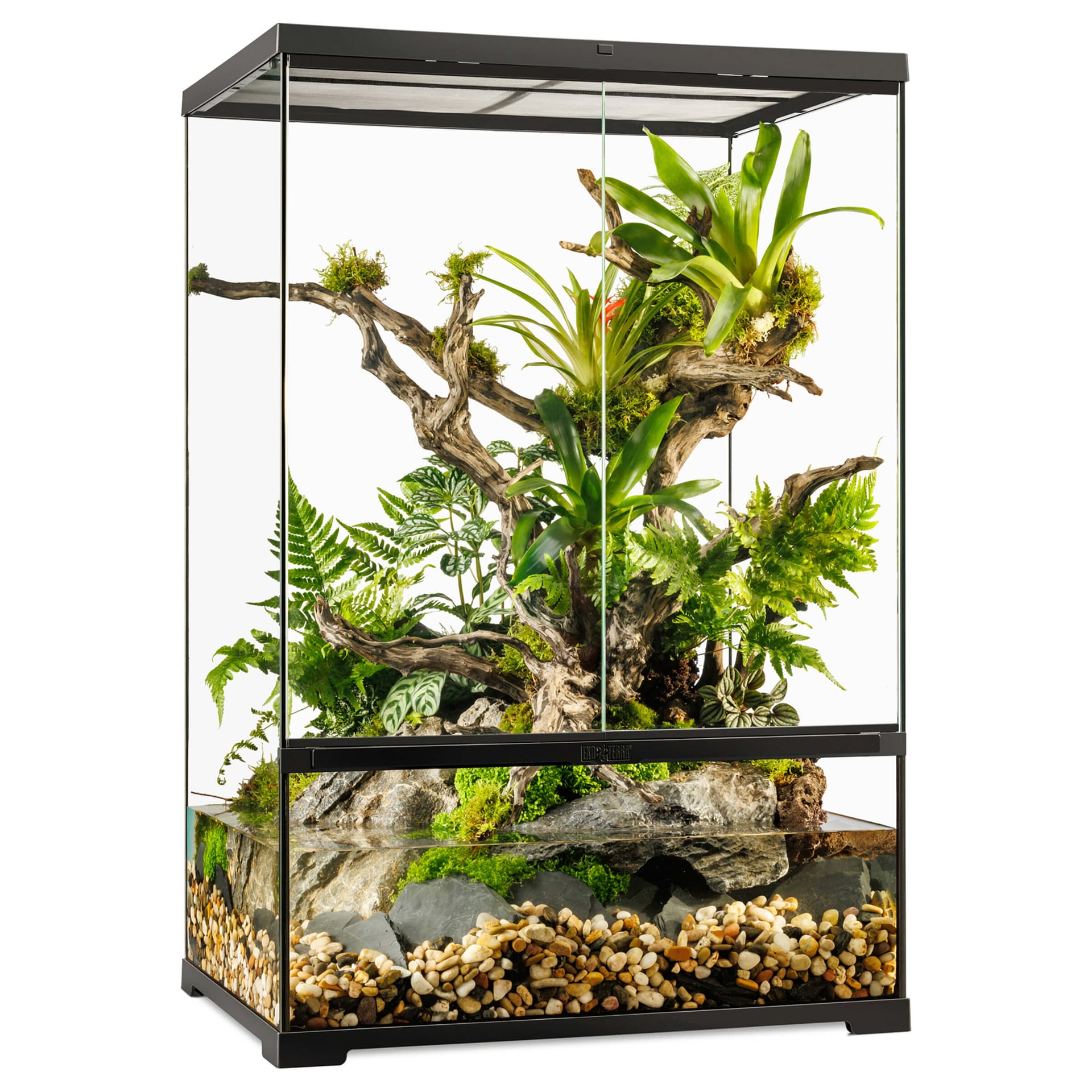 Pro Paludarium