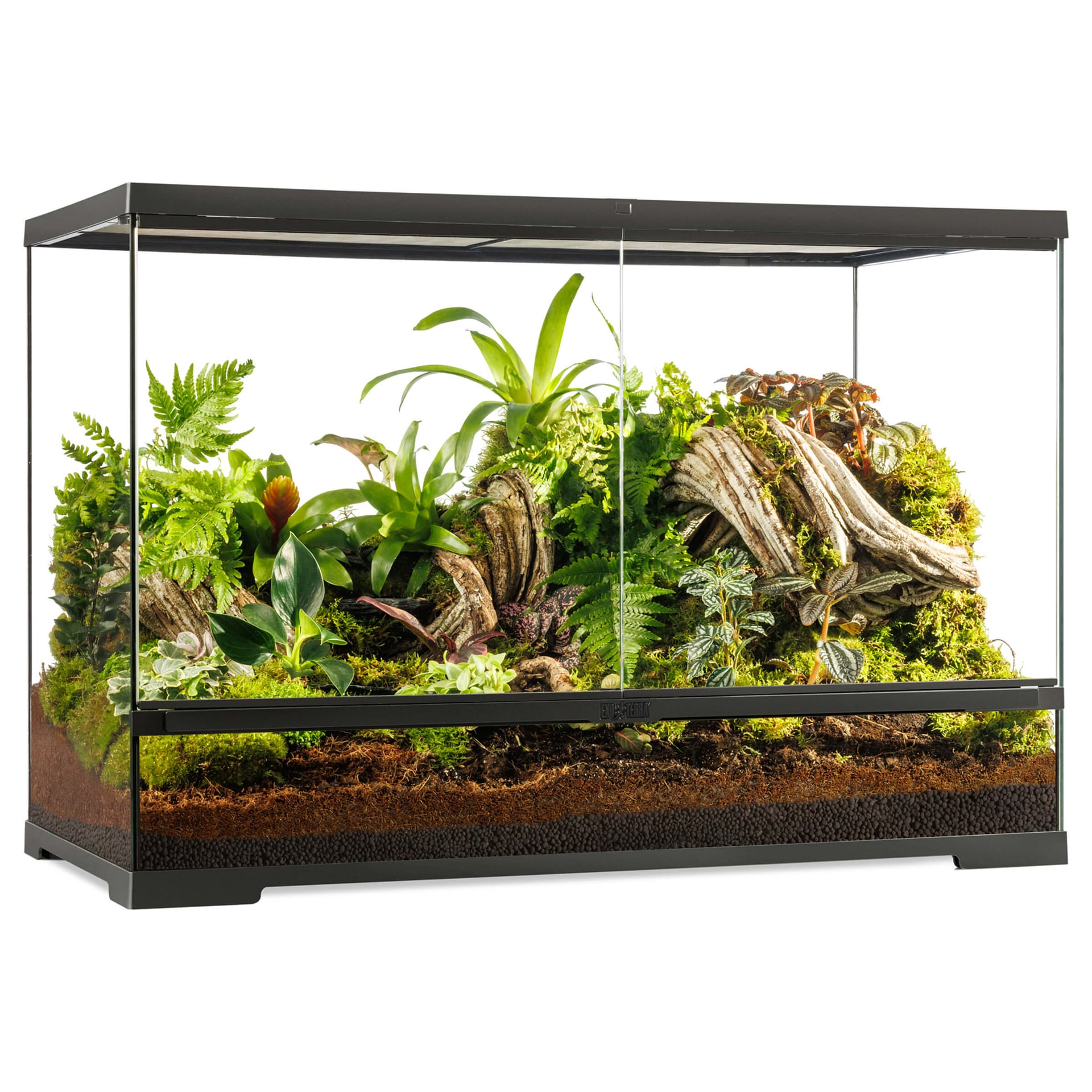 Pro Terrarium