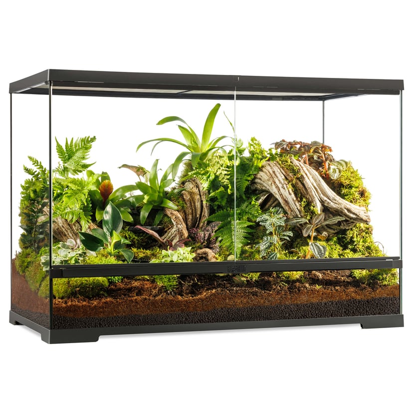 Pro Terrarium