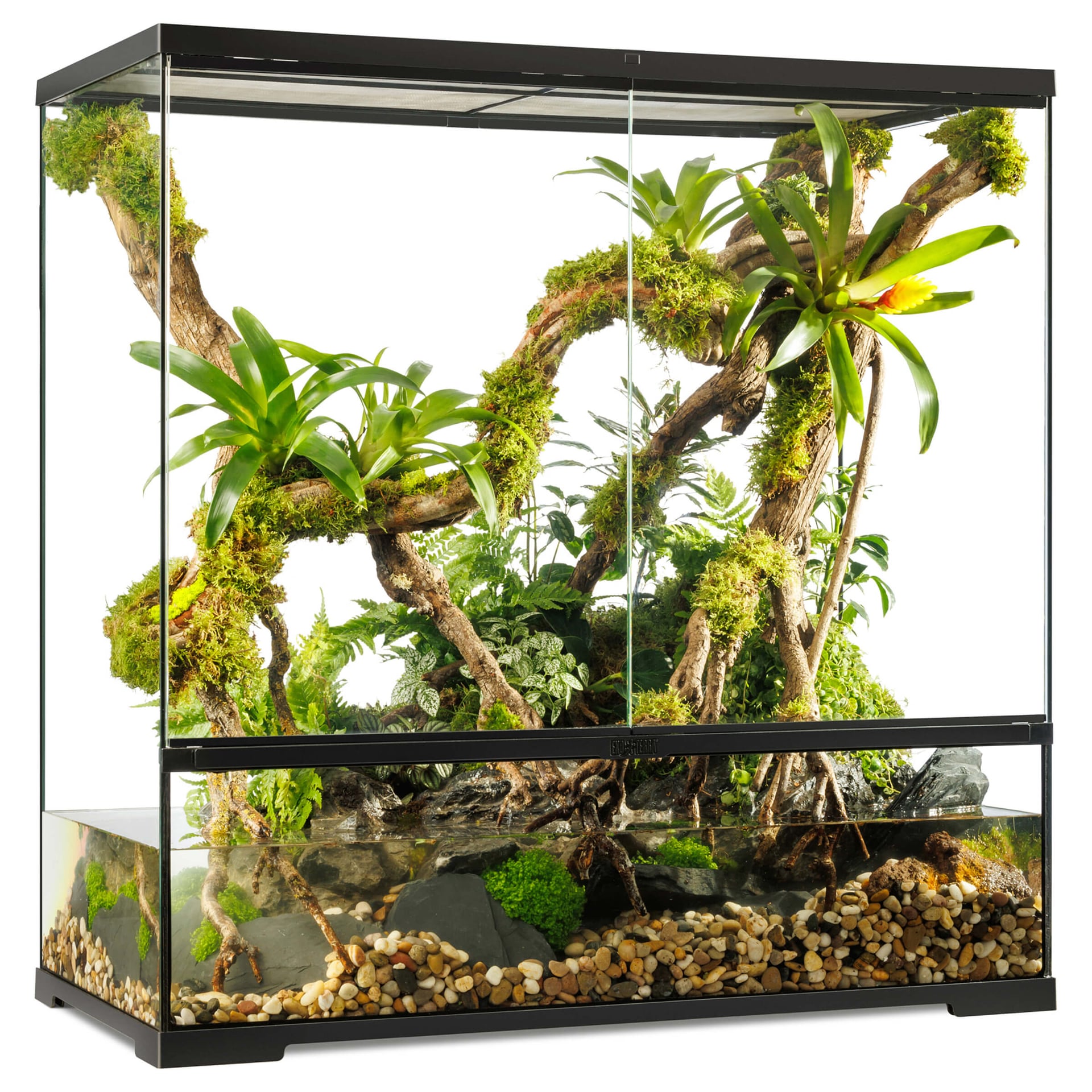 Pro Paludarium