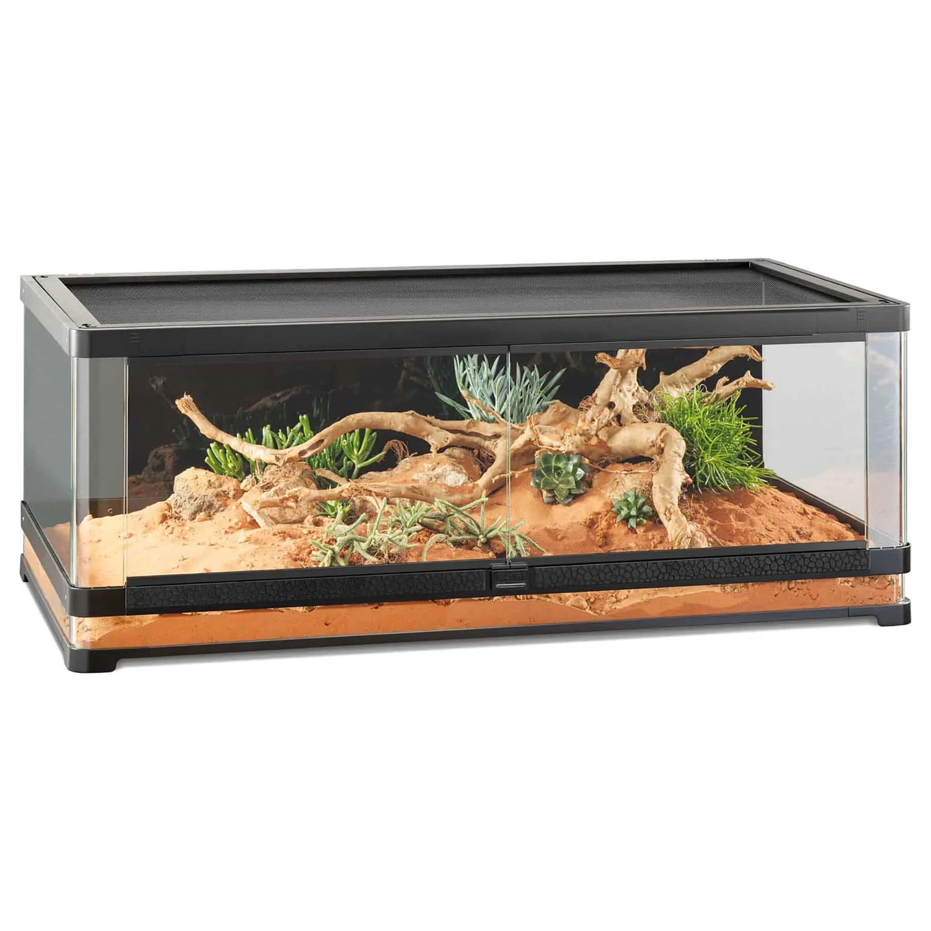 Terrarium Vista