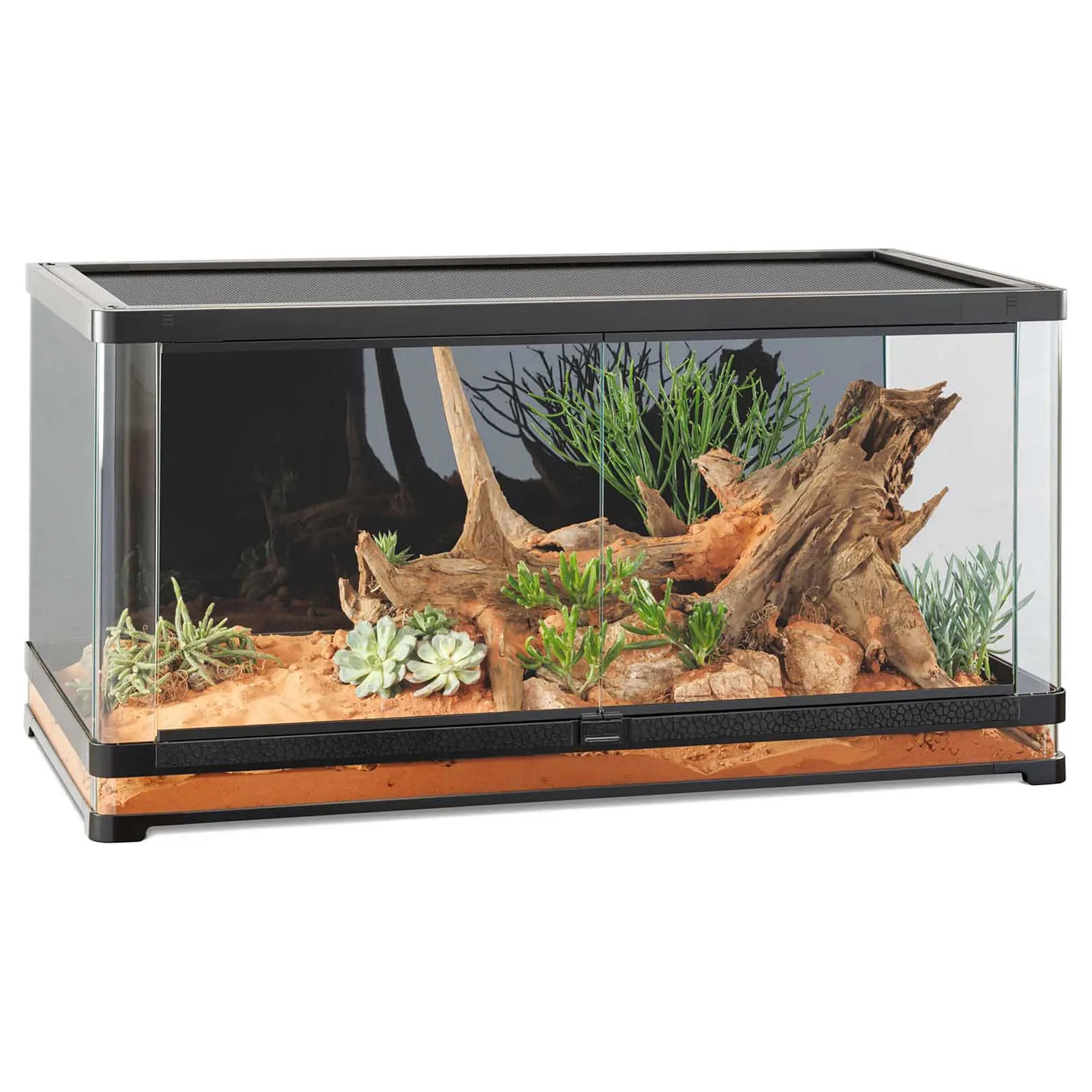 Terrarium Vista