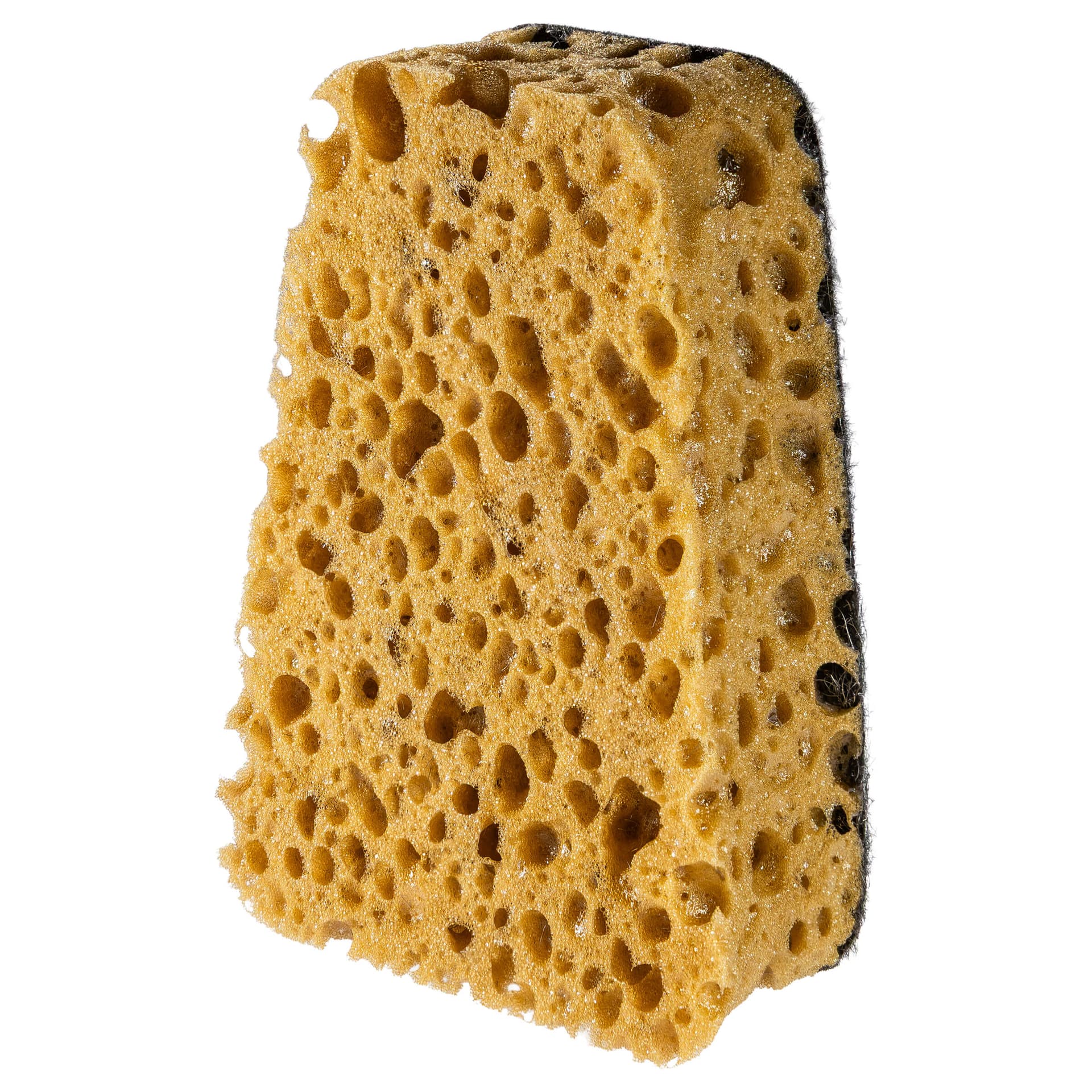 Scrubby Steve Reinigungsschwamm