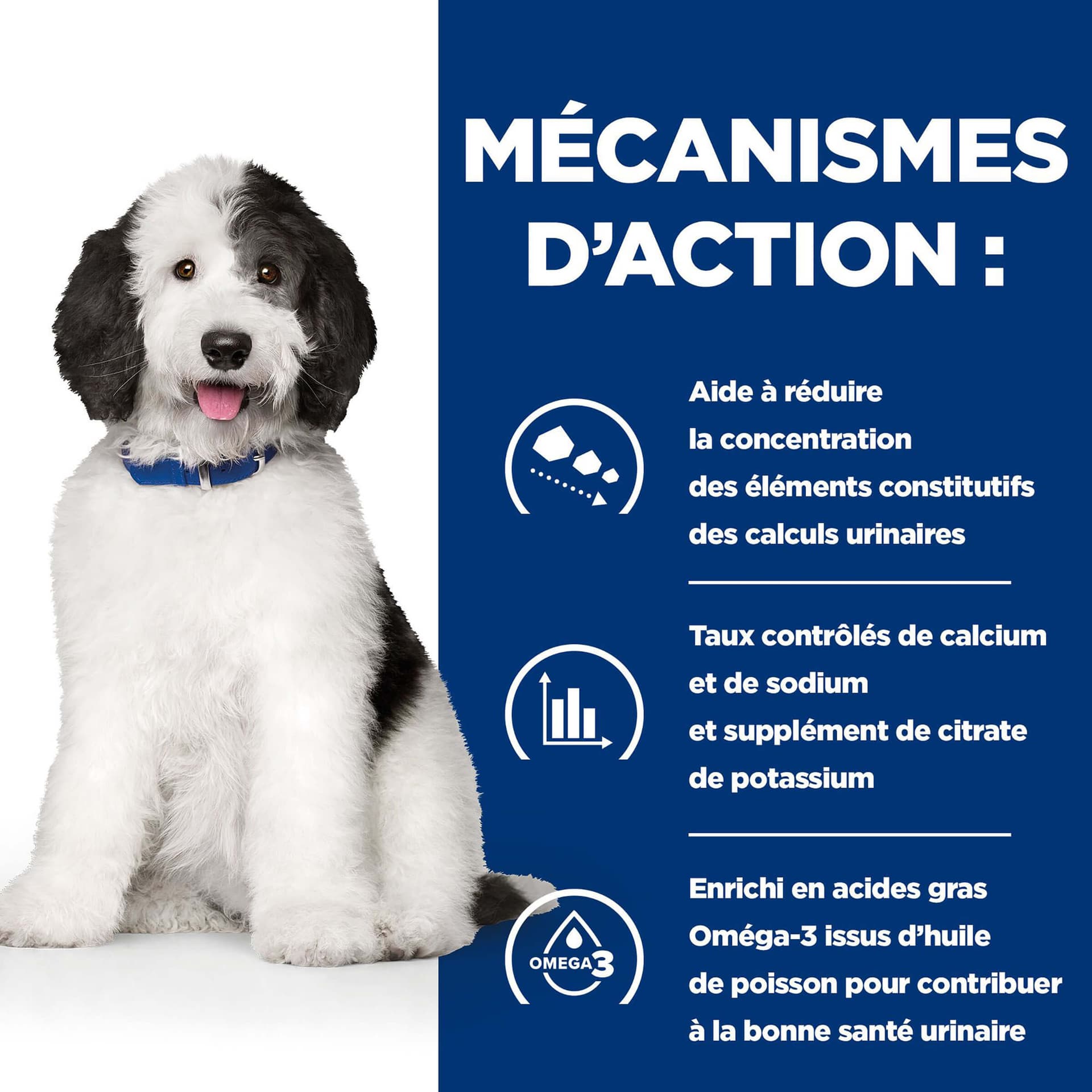 Prescription Diet c/d Multicare mit Huhn & Gemüse