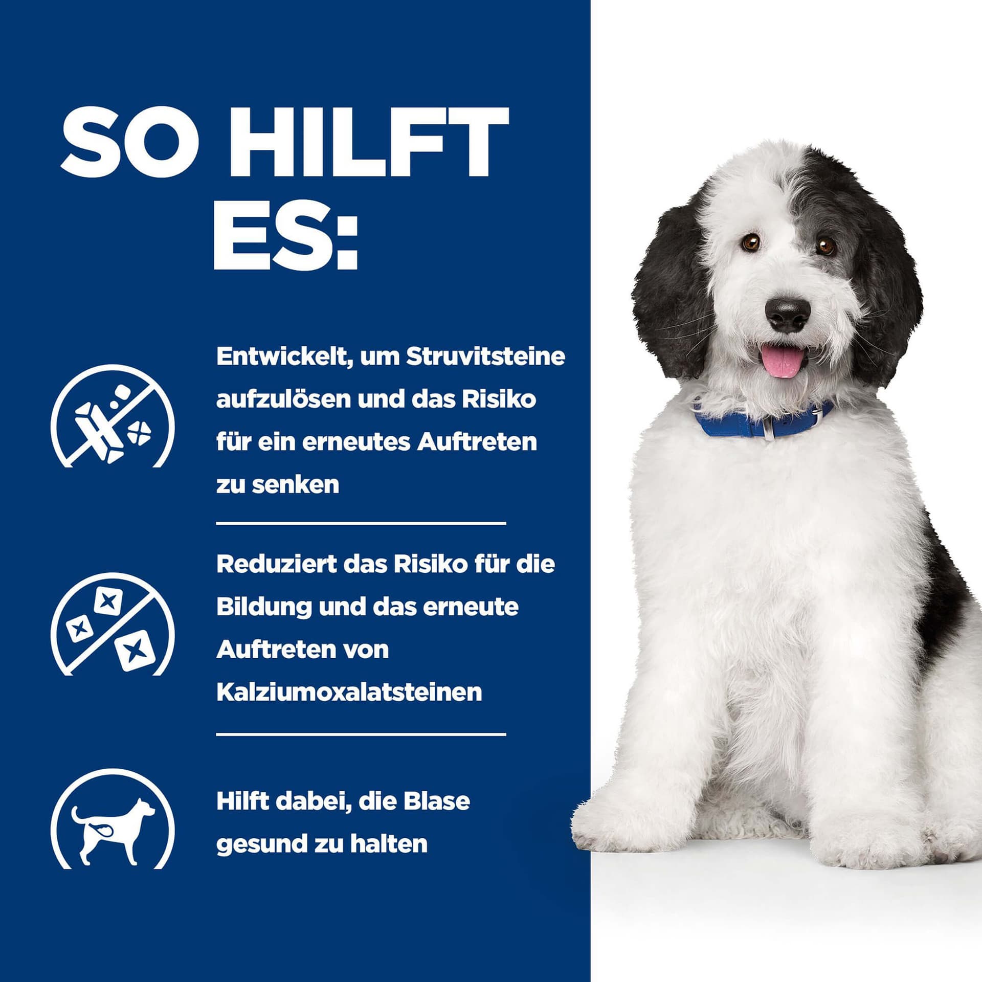 Prescription Diet c/d Multicare mit Huhn & Gemüse