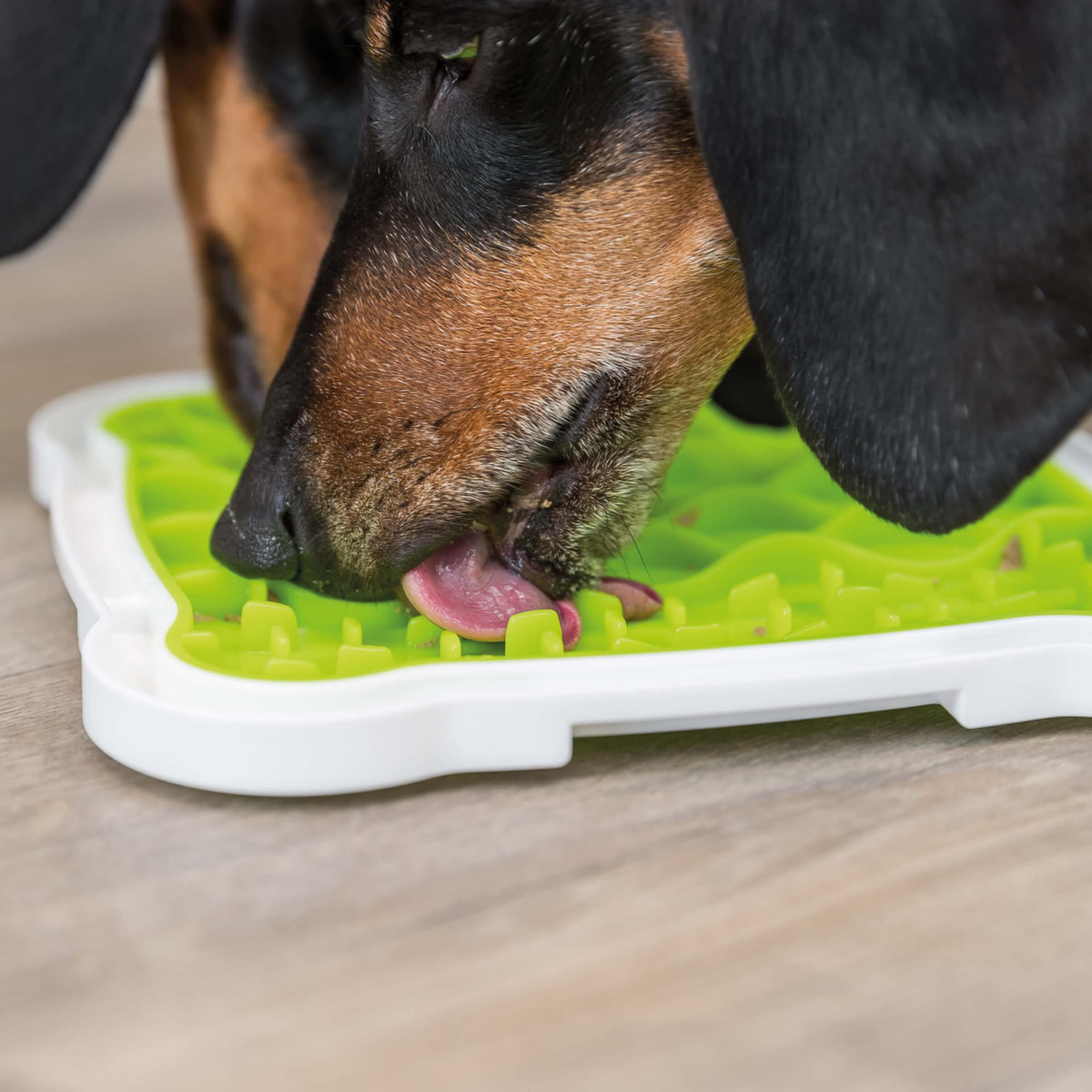 LicknSnack Platte