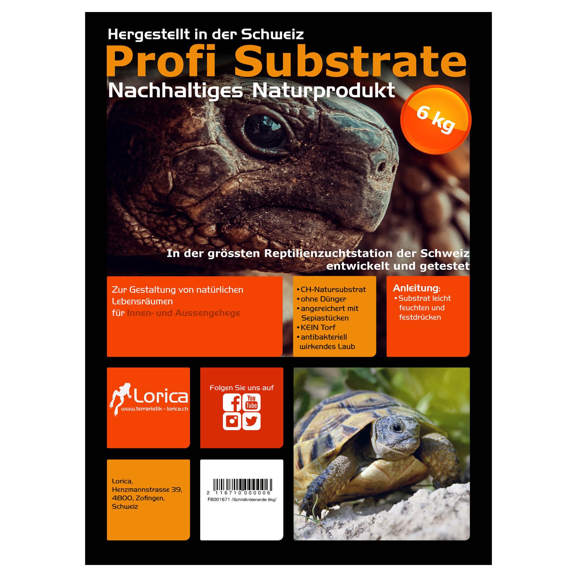Schildkrötenerde