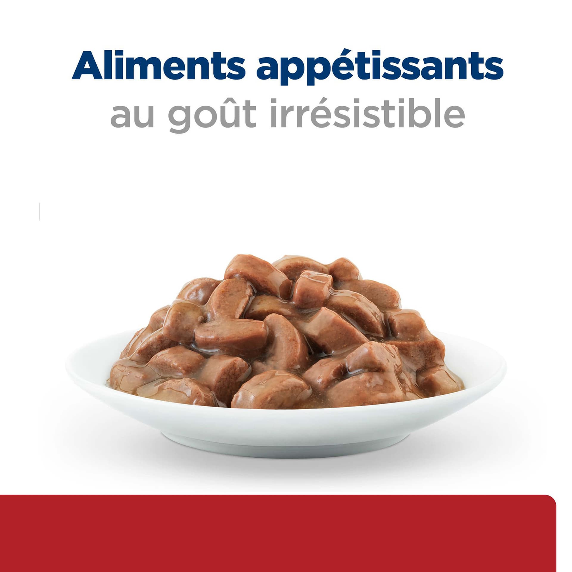 Katze Prescription Diet i/d Digestive Care