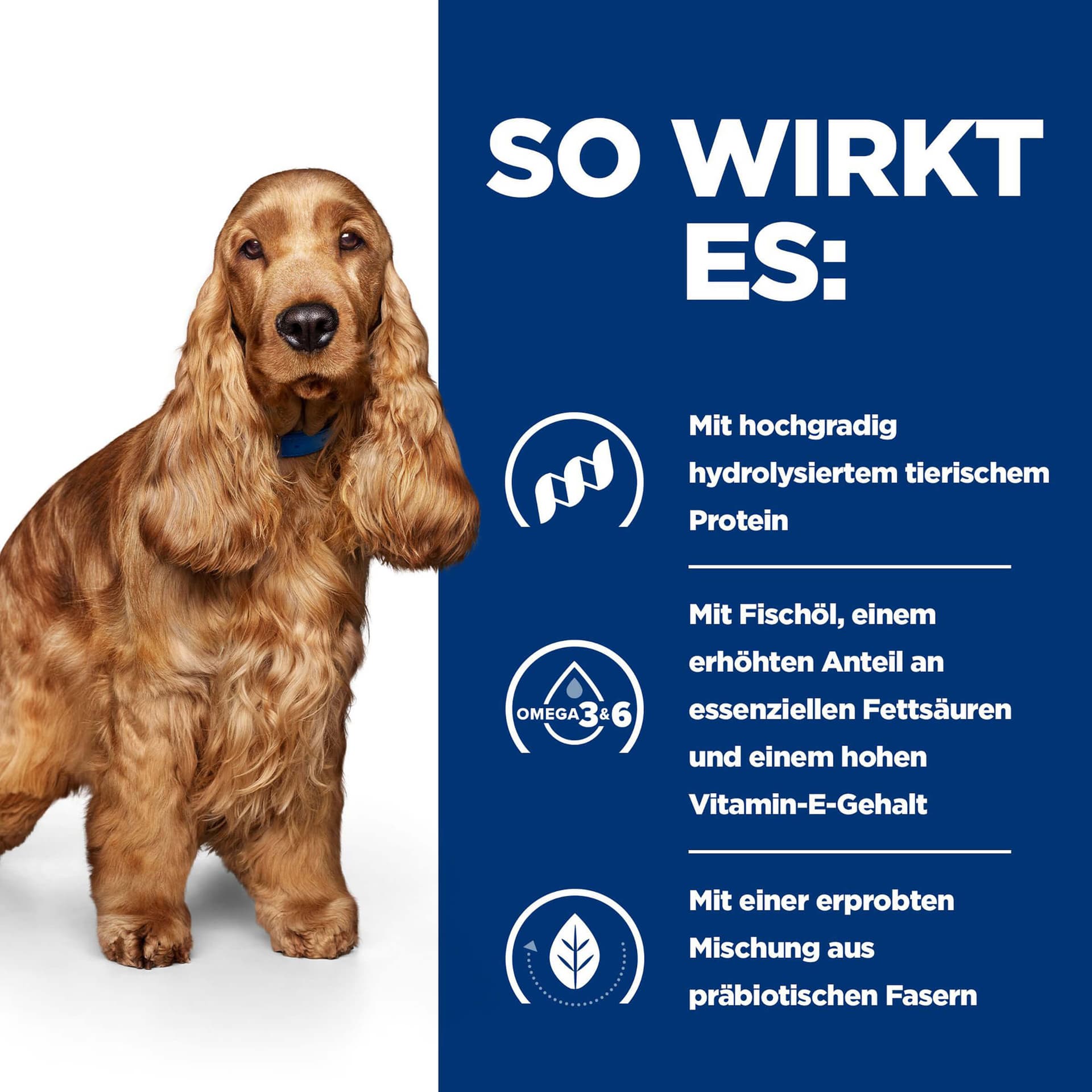 Prescription Diet z/d