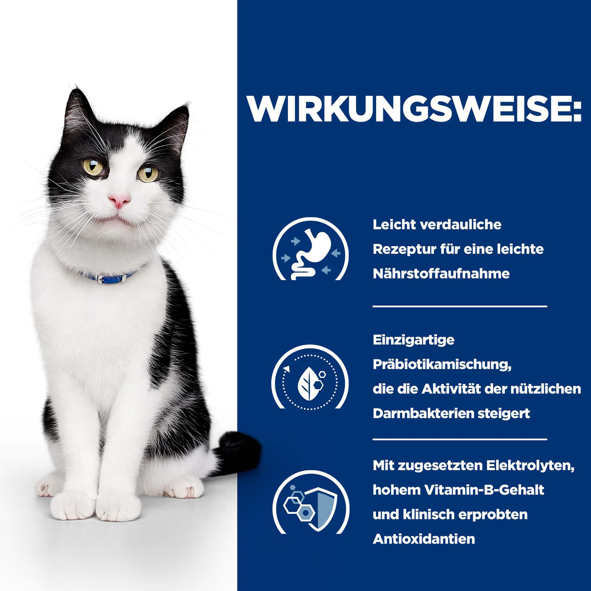 Katze Prescription Diet i/d Digestive Care Huhn