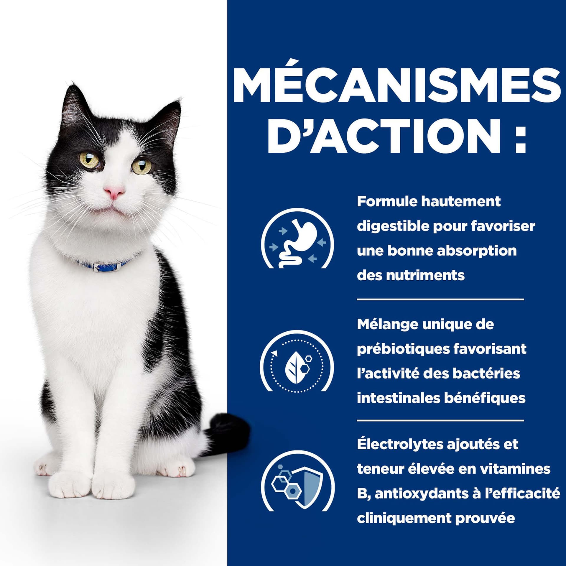 Katze Prescription Diet i/d Digestive Care Huhn