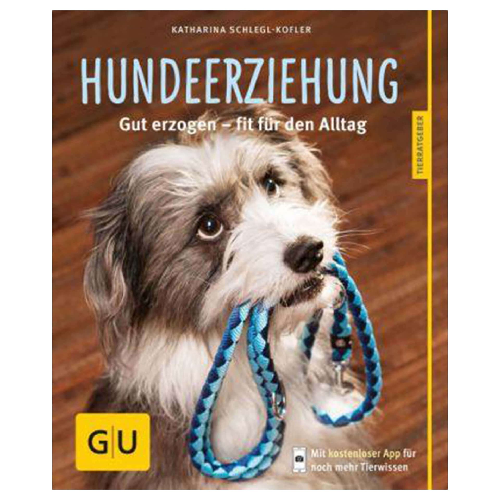 Hunde-Erziehung