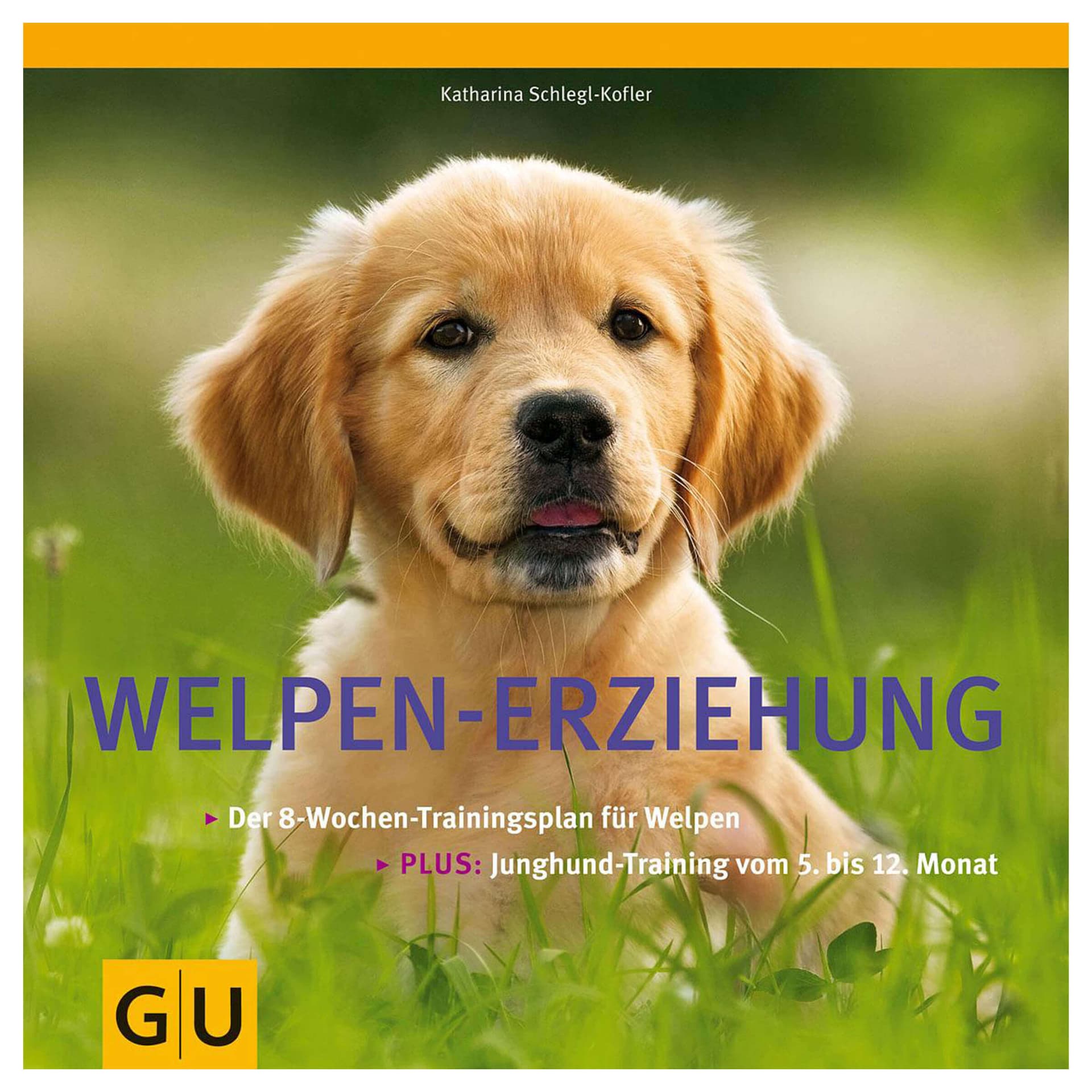 Welpen-Erziehung