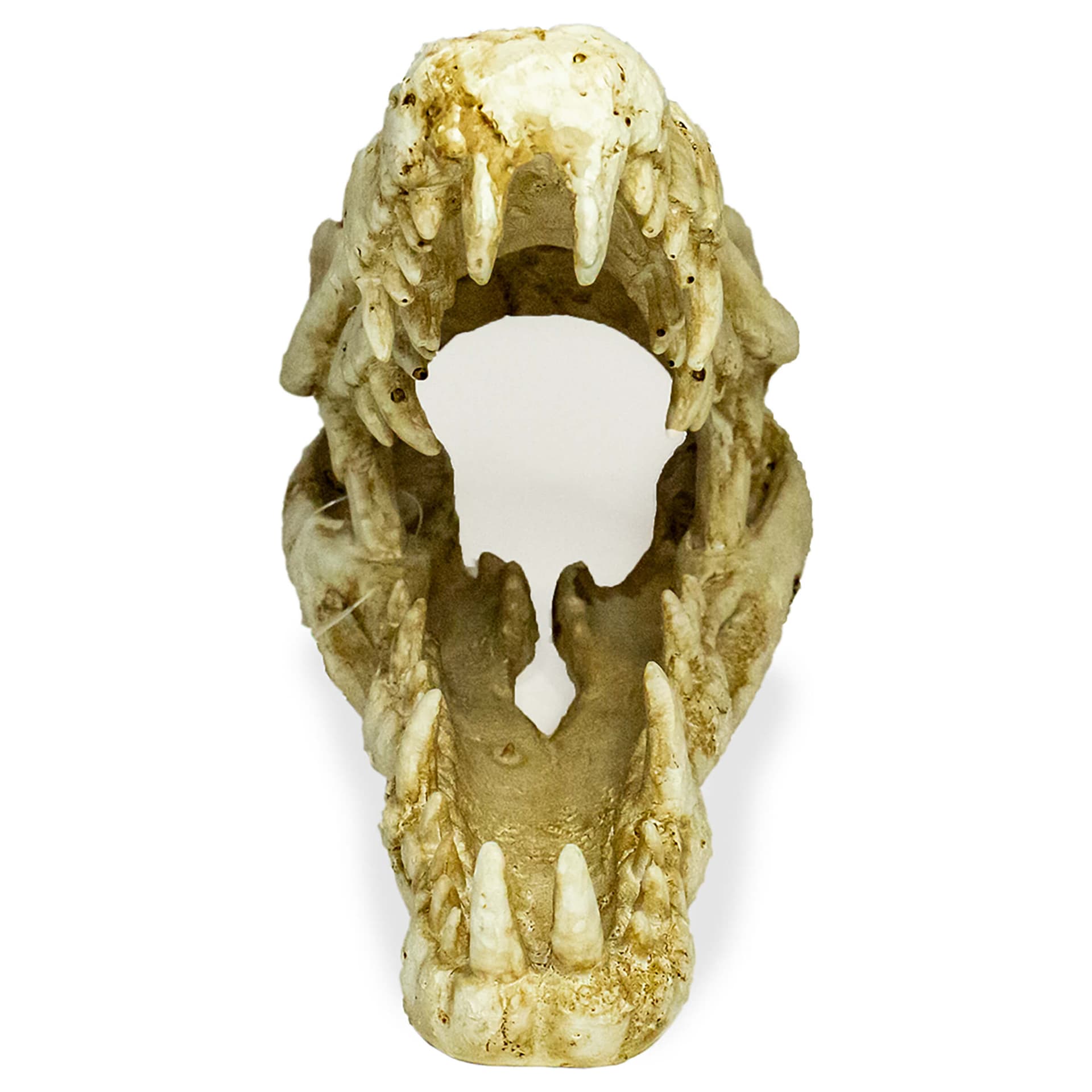 Terrariendekoration Deco Skull Krokodil
