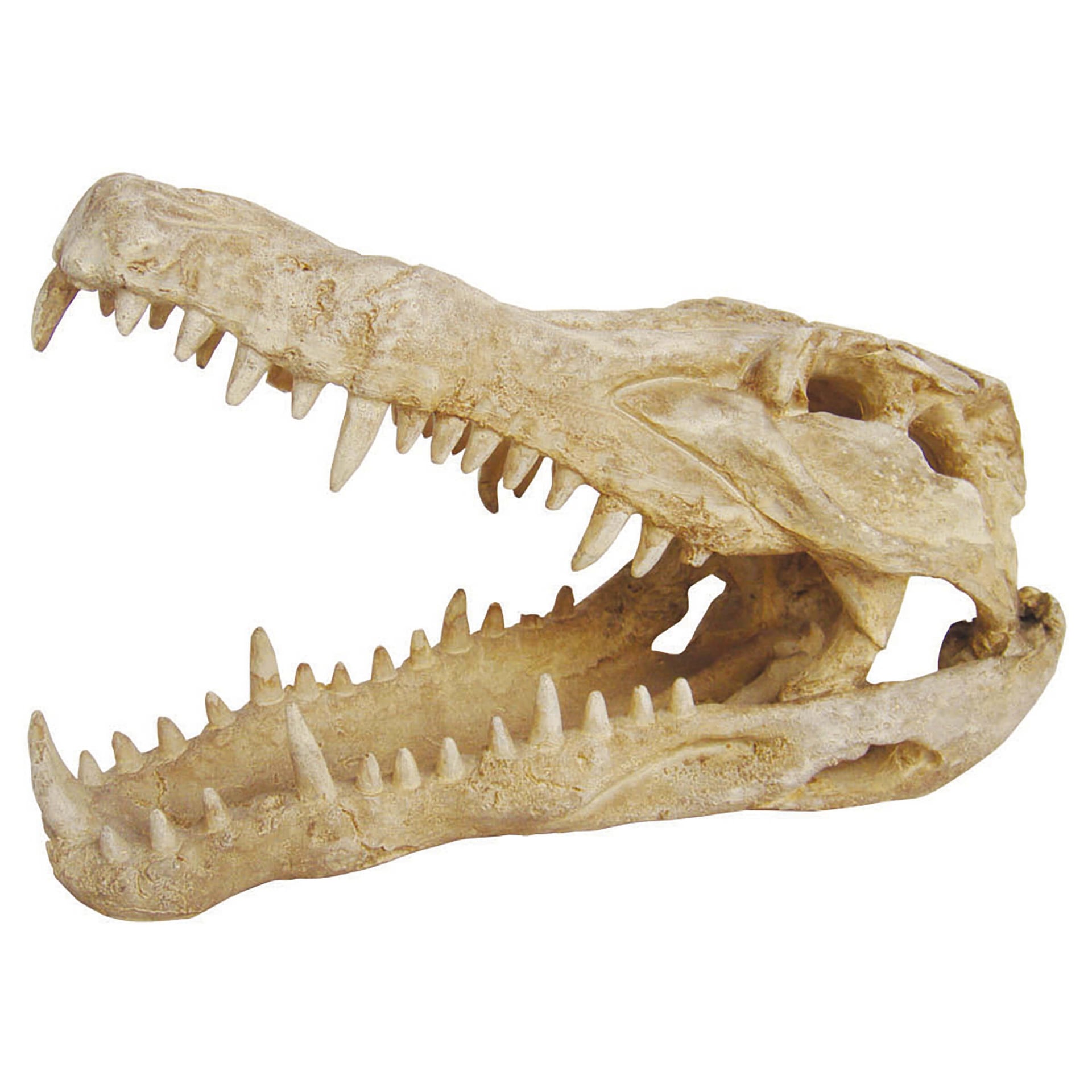 Terrariendekoration Deco Skull Krokodil