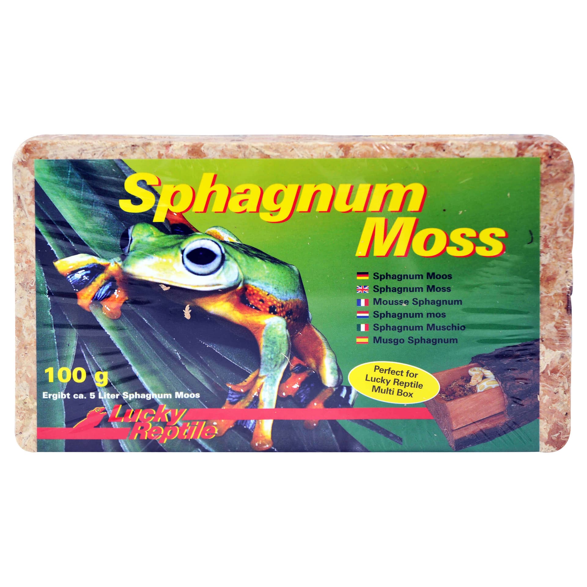 Terrarienmoos Sphagnum