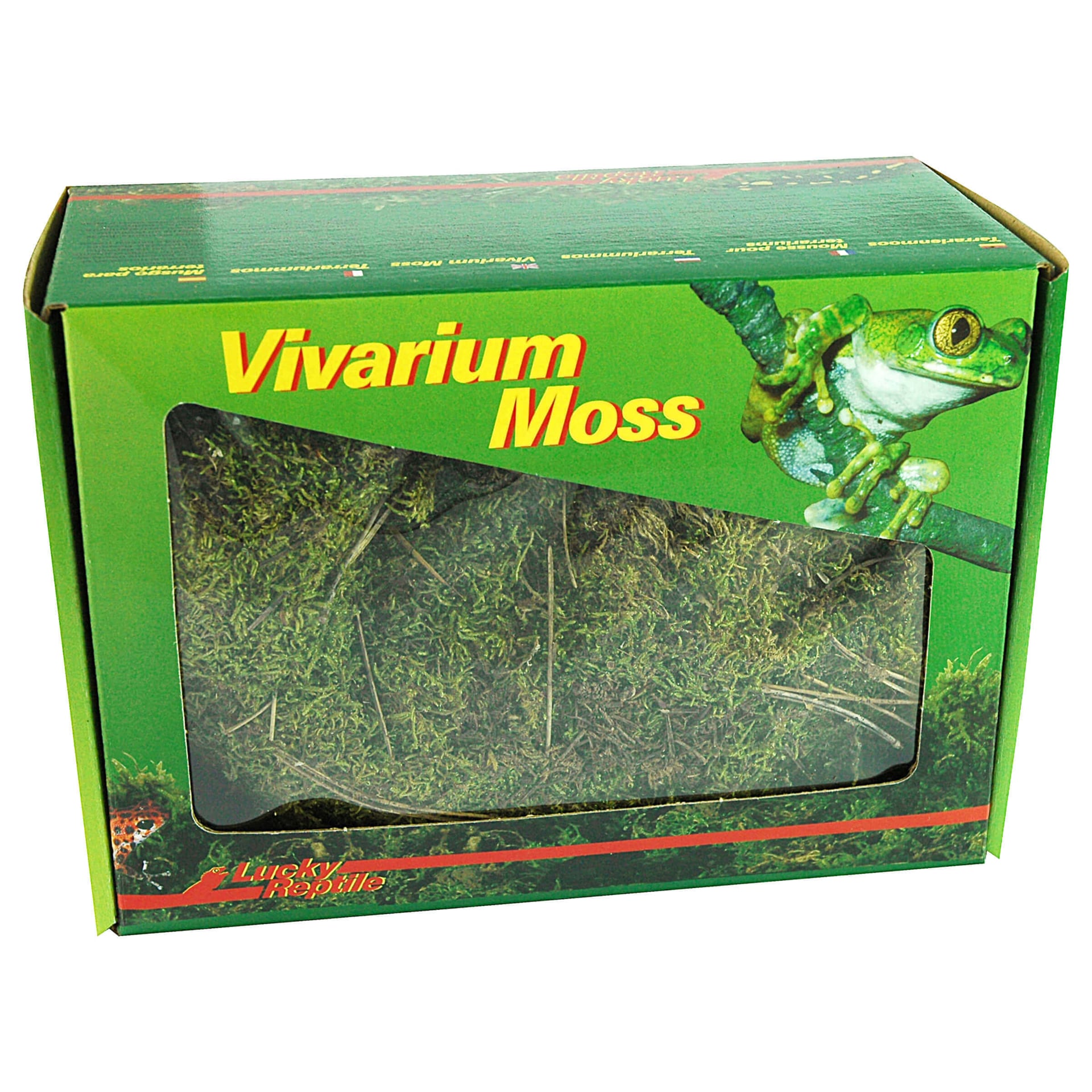 Vivarium Moos