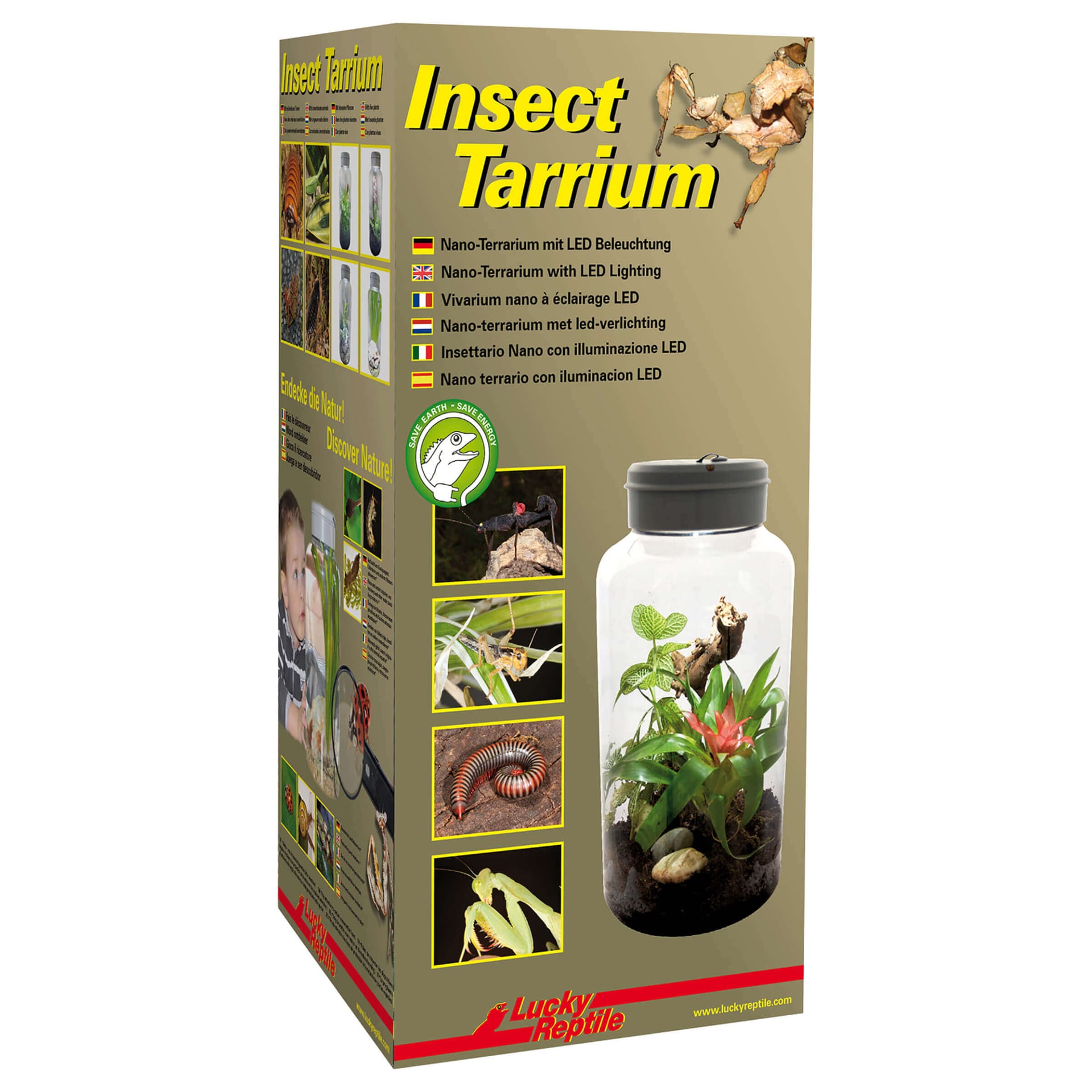 Insect Tarrium