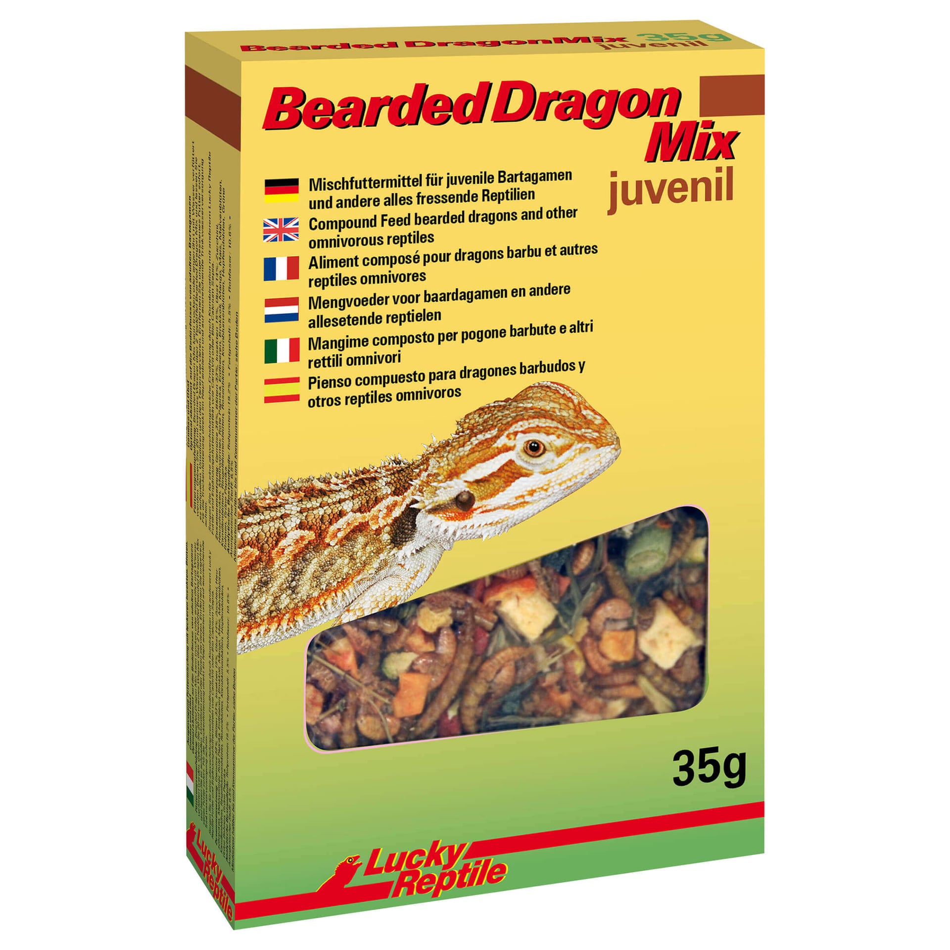 Bearded Dragon Mix Juvenil