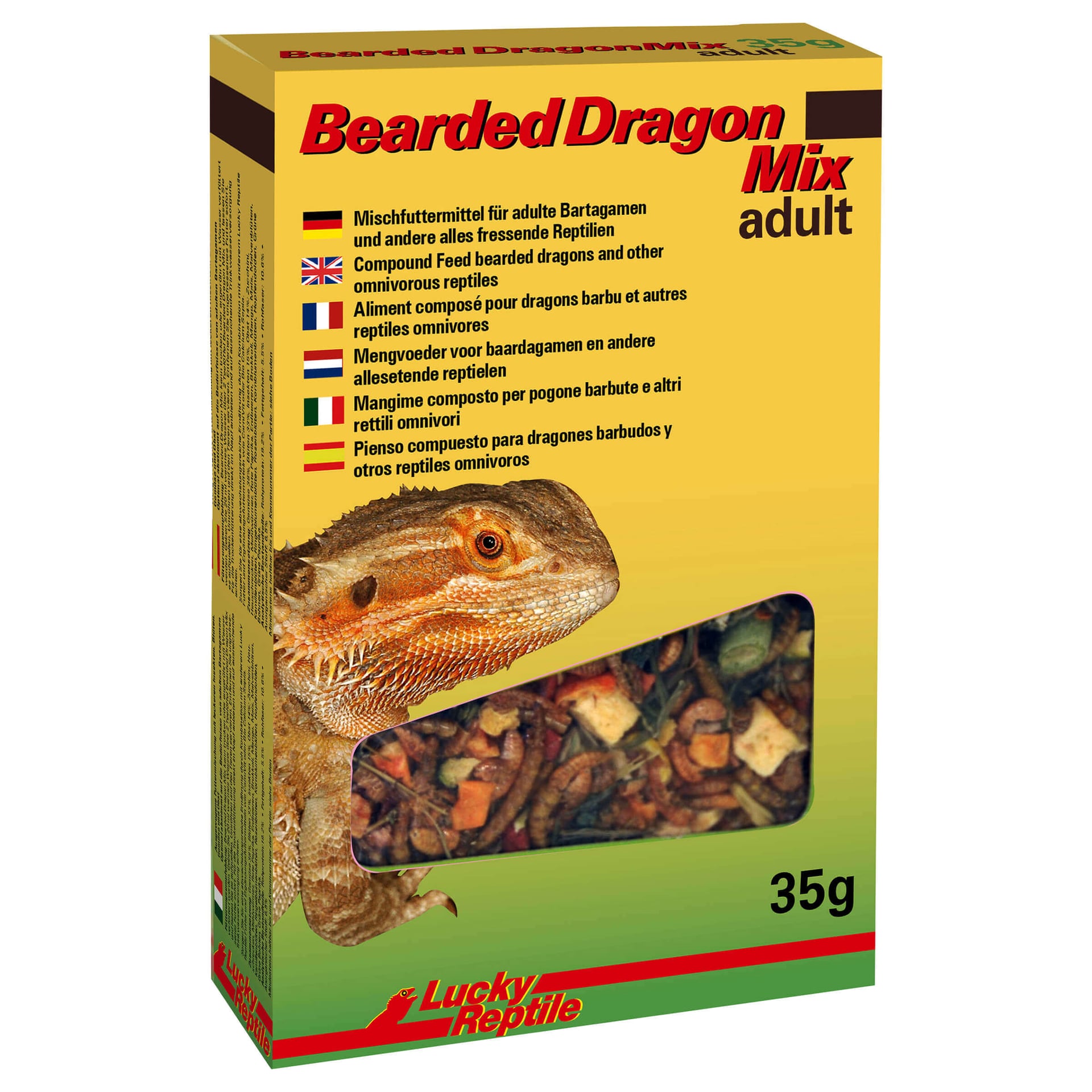 Bearded Dragon Mix Adult