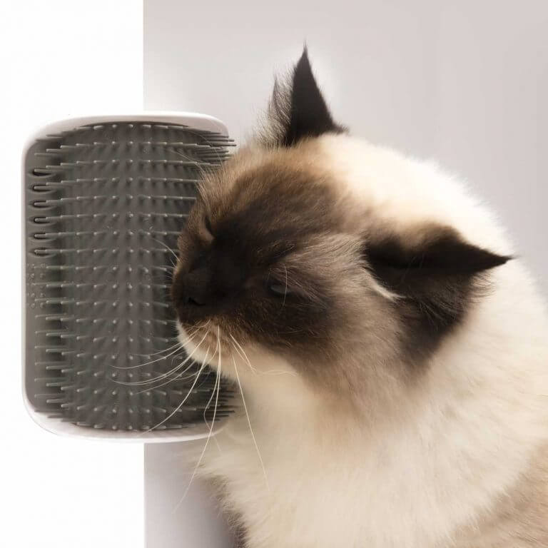 Senses 2.0 Self Groomer Massage-Ecke mit Katzenminze