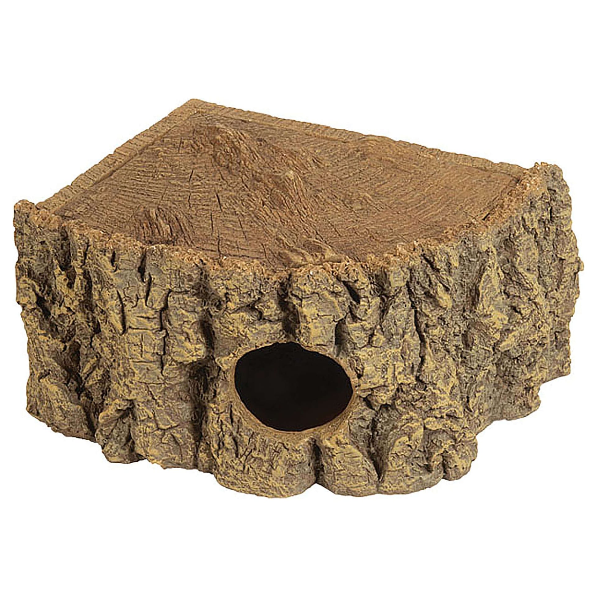 Reptilien Eckhöhle Bark