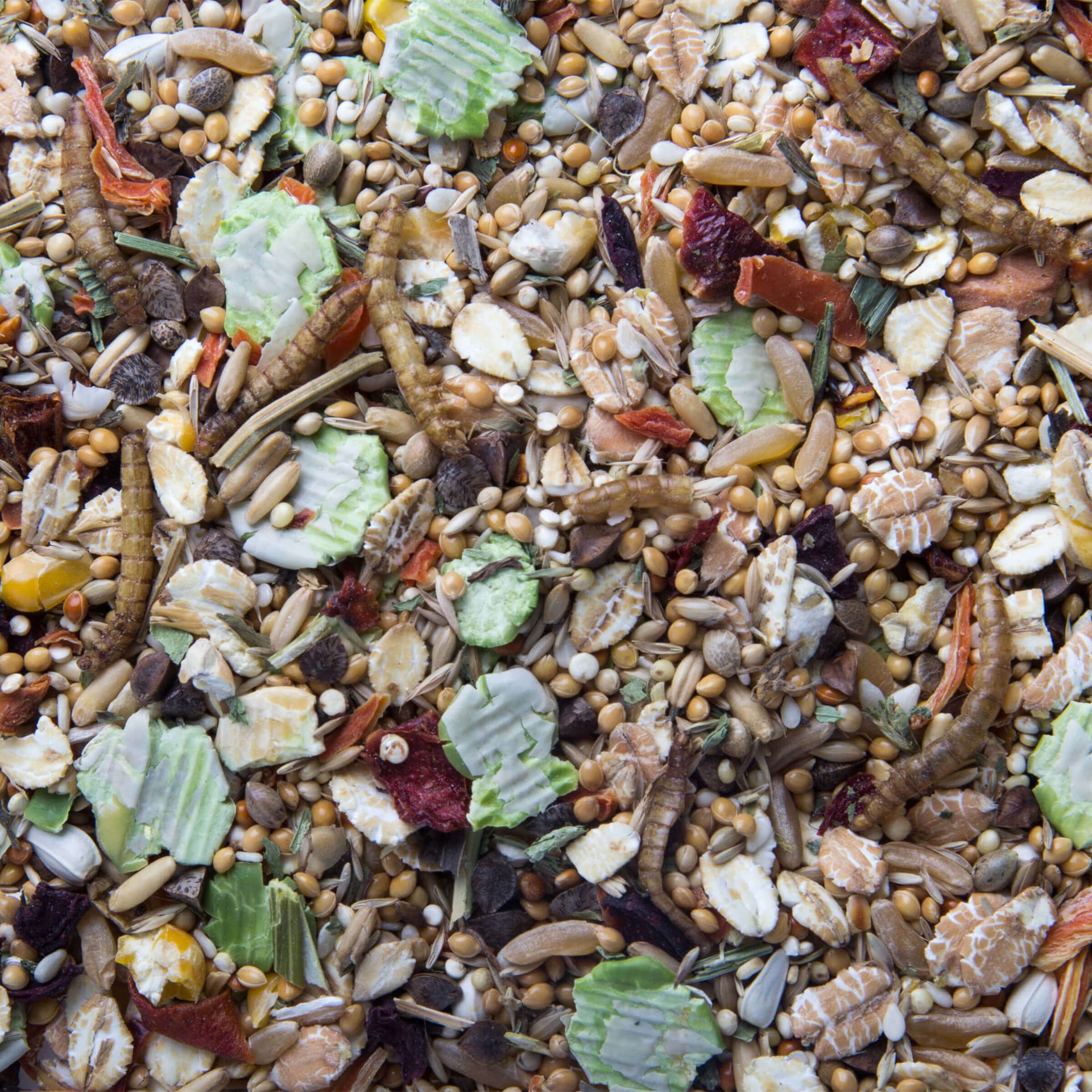 Professional Mix Farbmausfutter