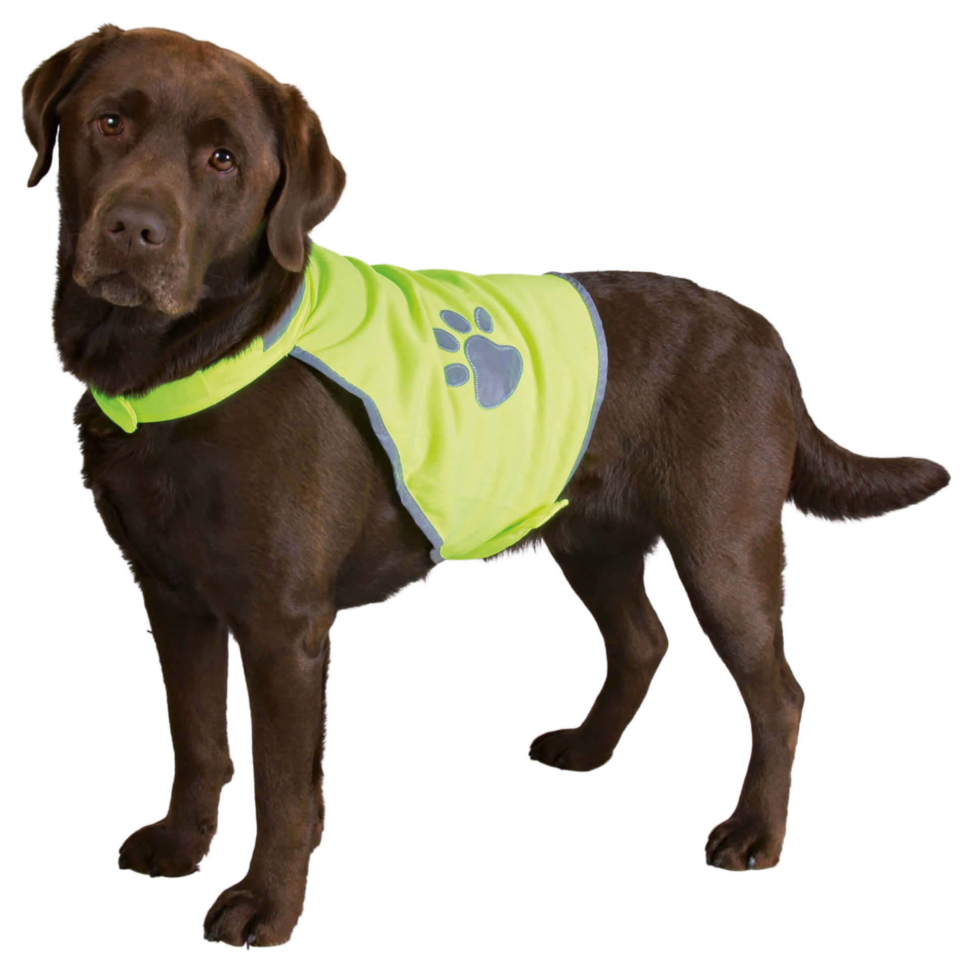 Sicherheitsweste für Hunde