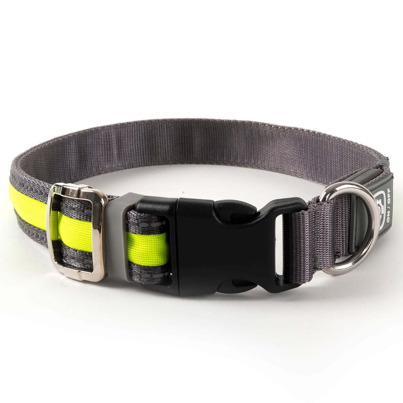 Leuchthalsband Light-Collar