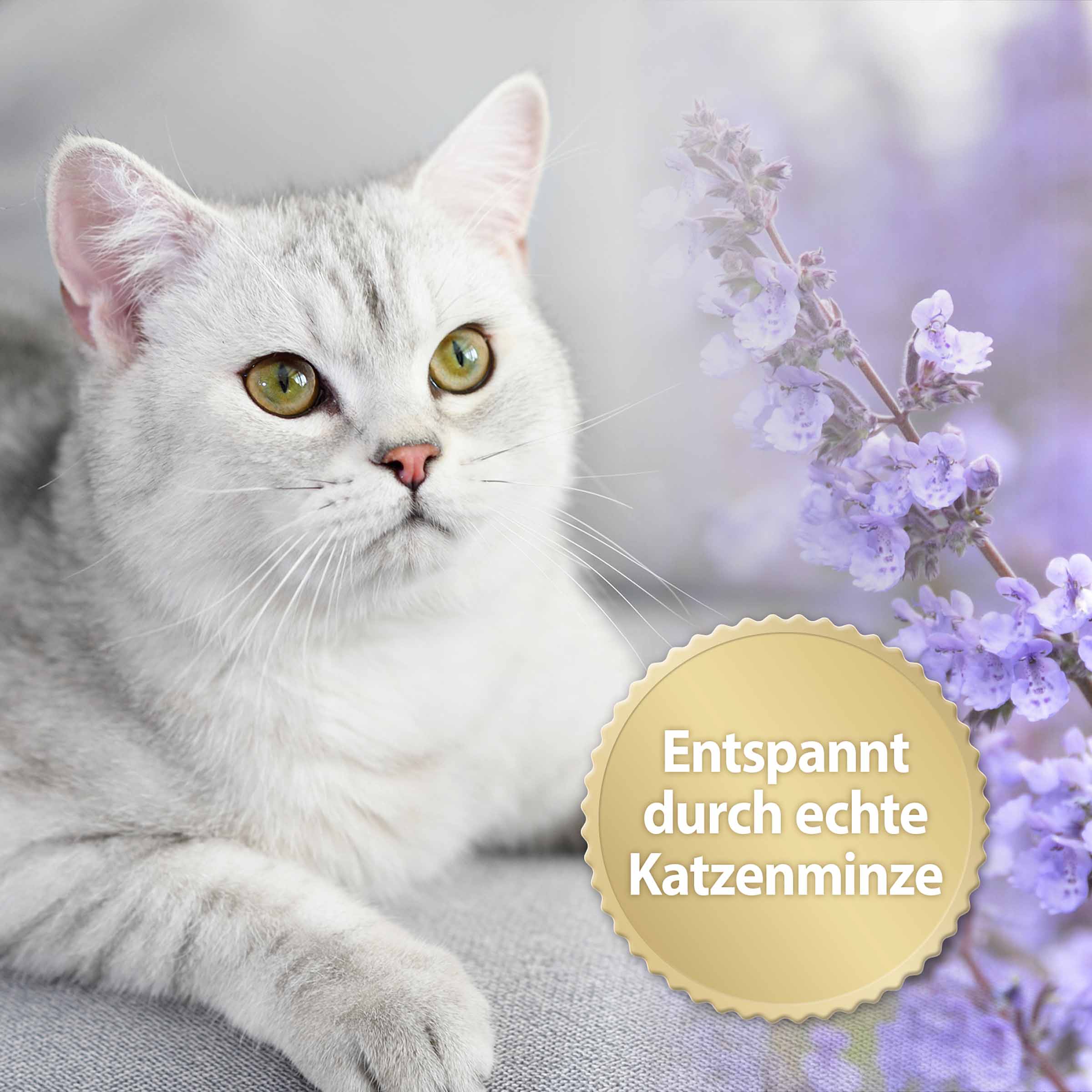 Home Comfort Beruhigungsspray