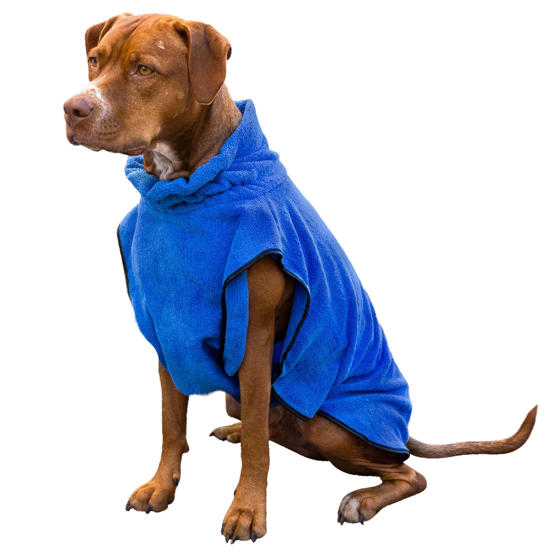 Hundebademantel