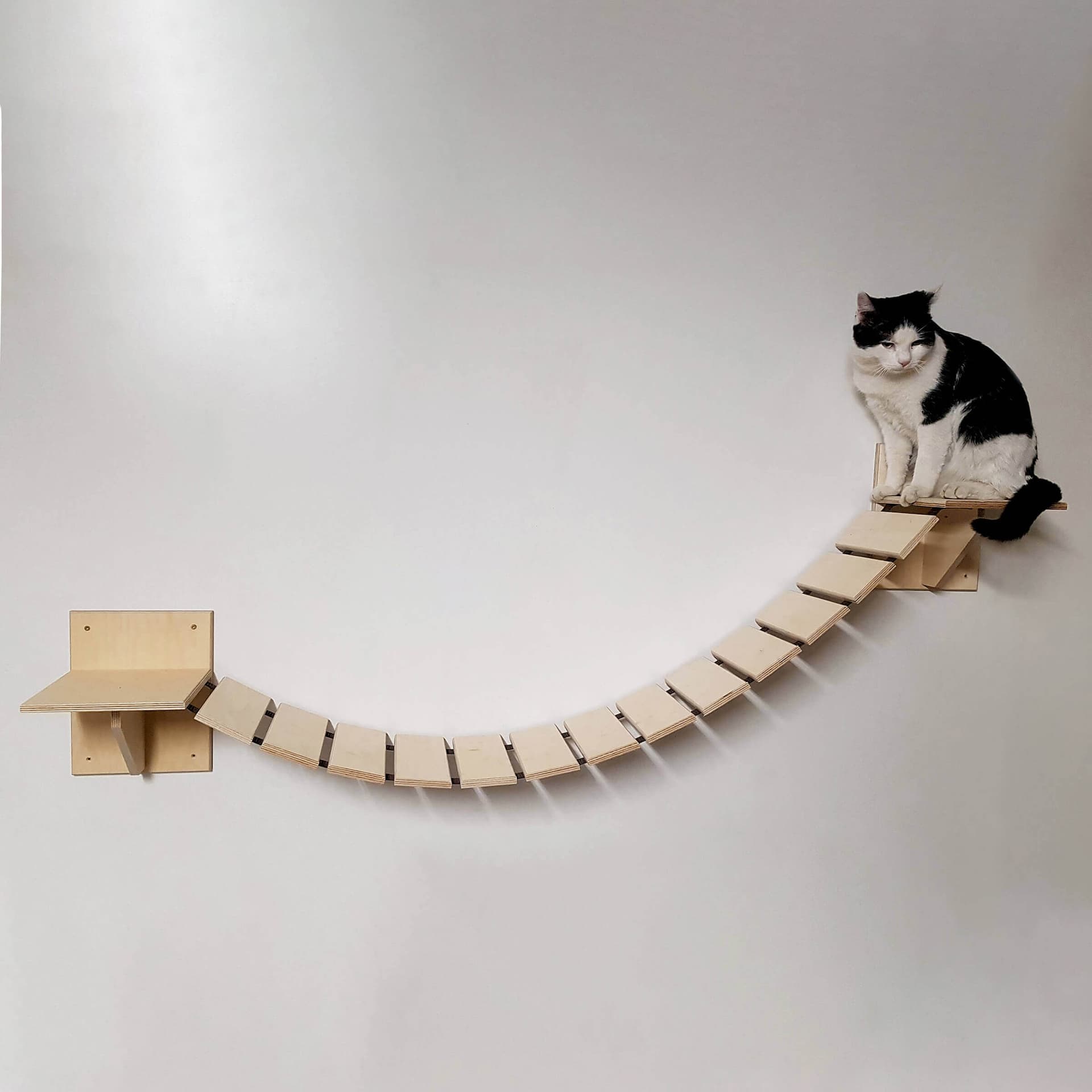 Katzen Wandhängebrücke