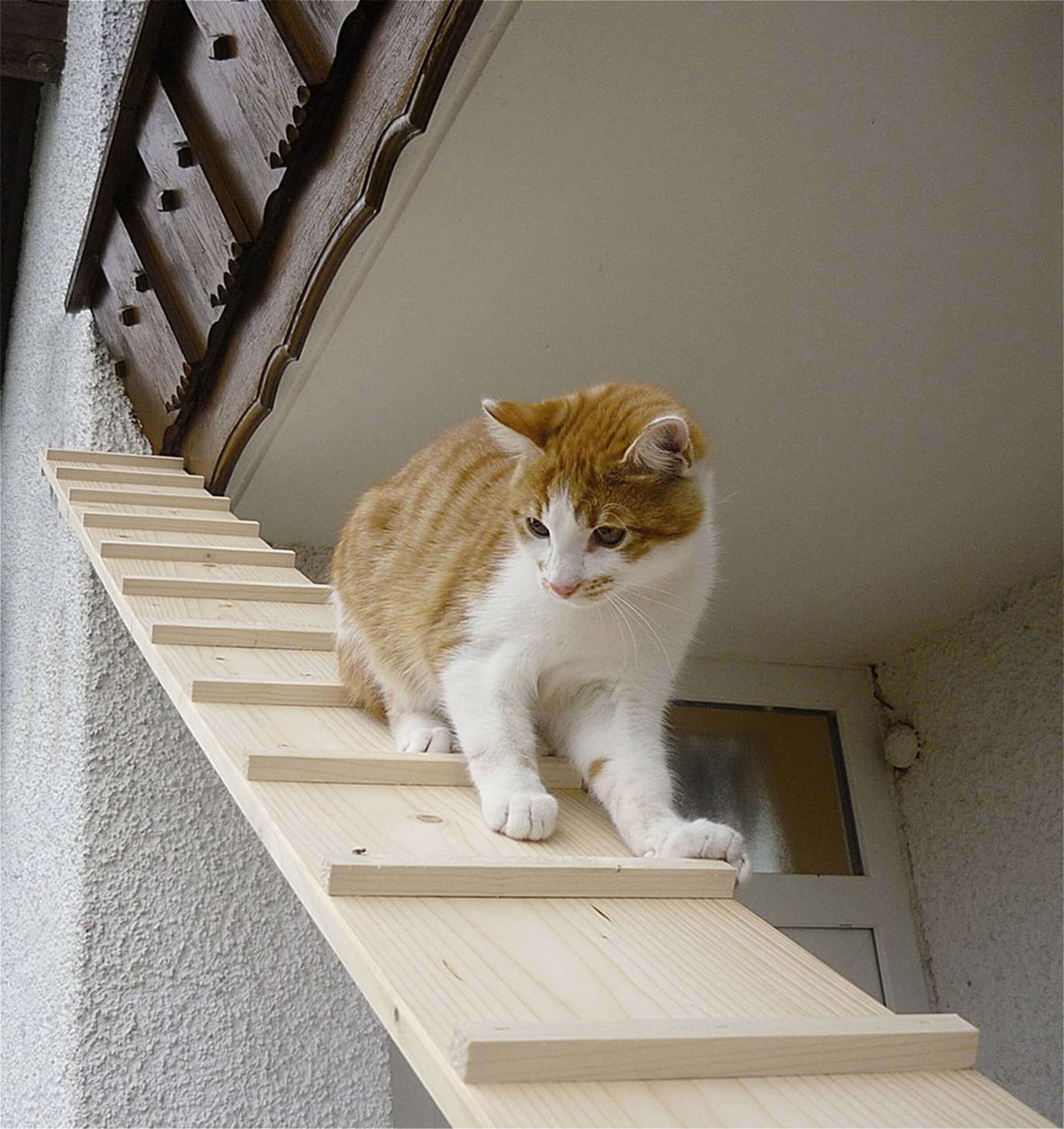Katzentreppe ohne Verbindung