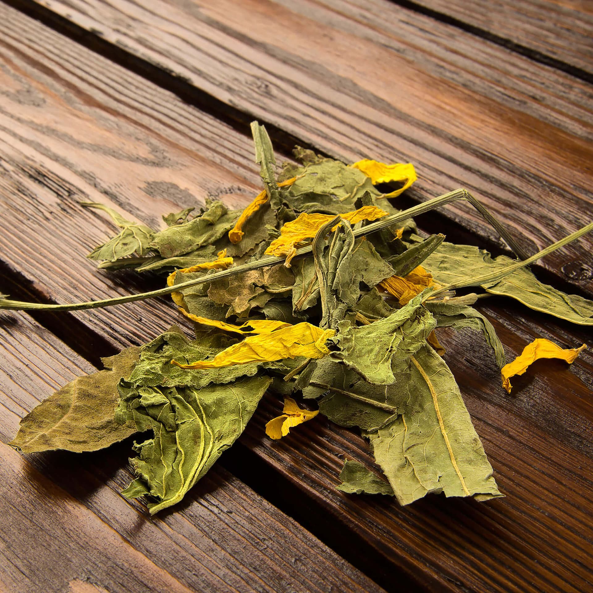 All Nature Botanicals Mix Echinacea