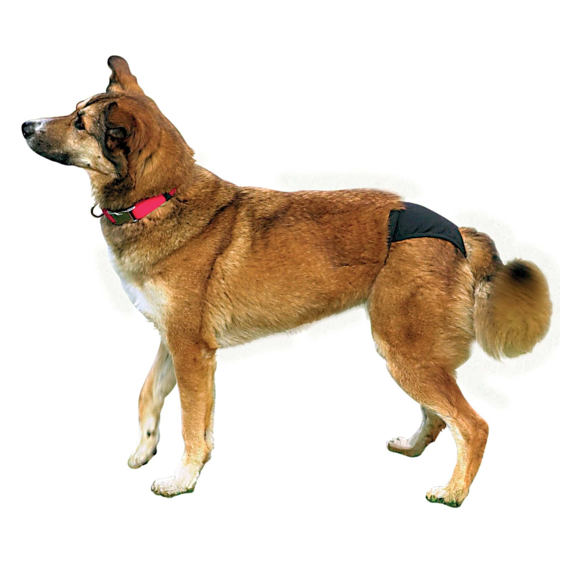 Schutzhöschen