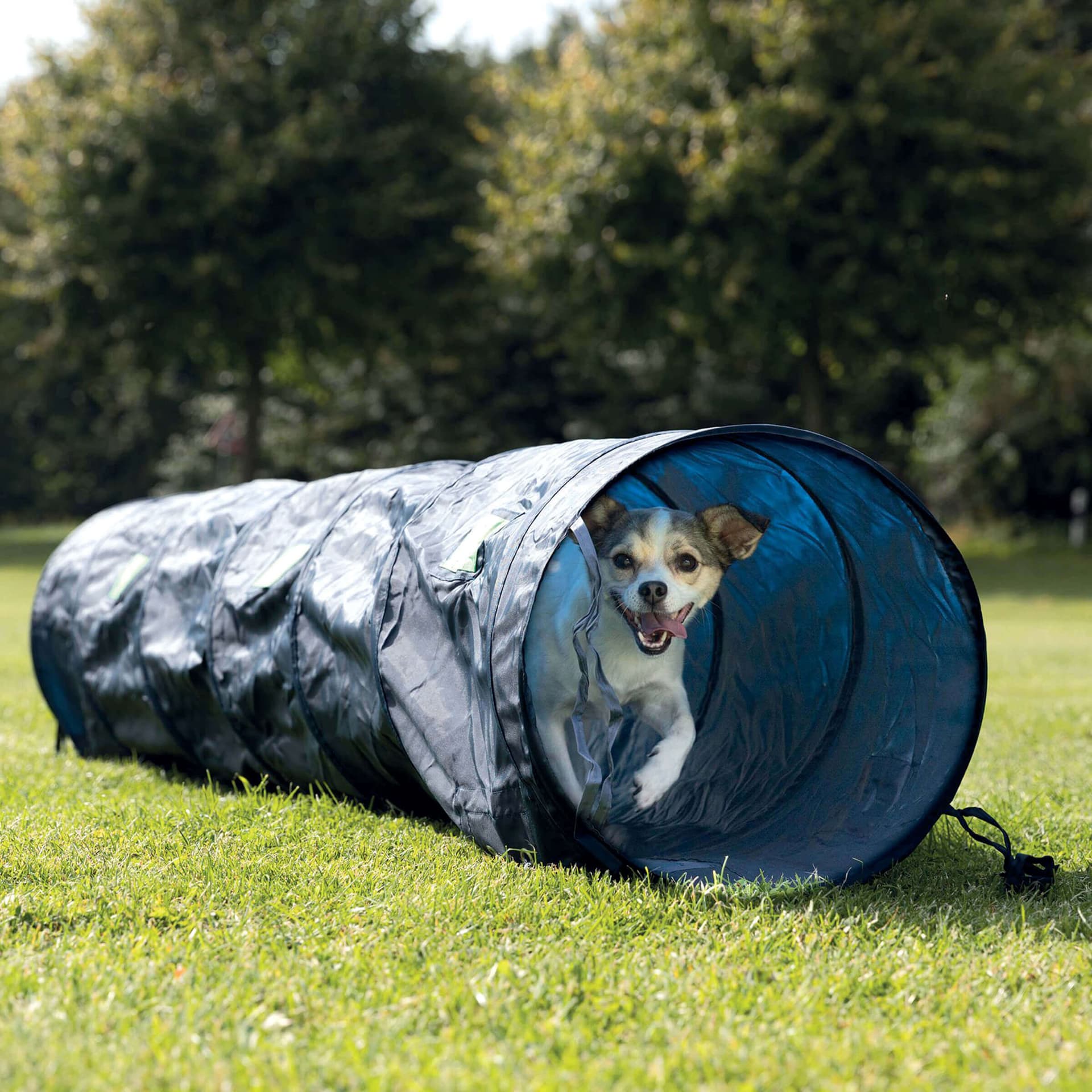 Dog Activity Agility Tunnel