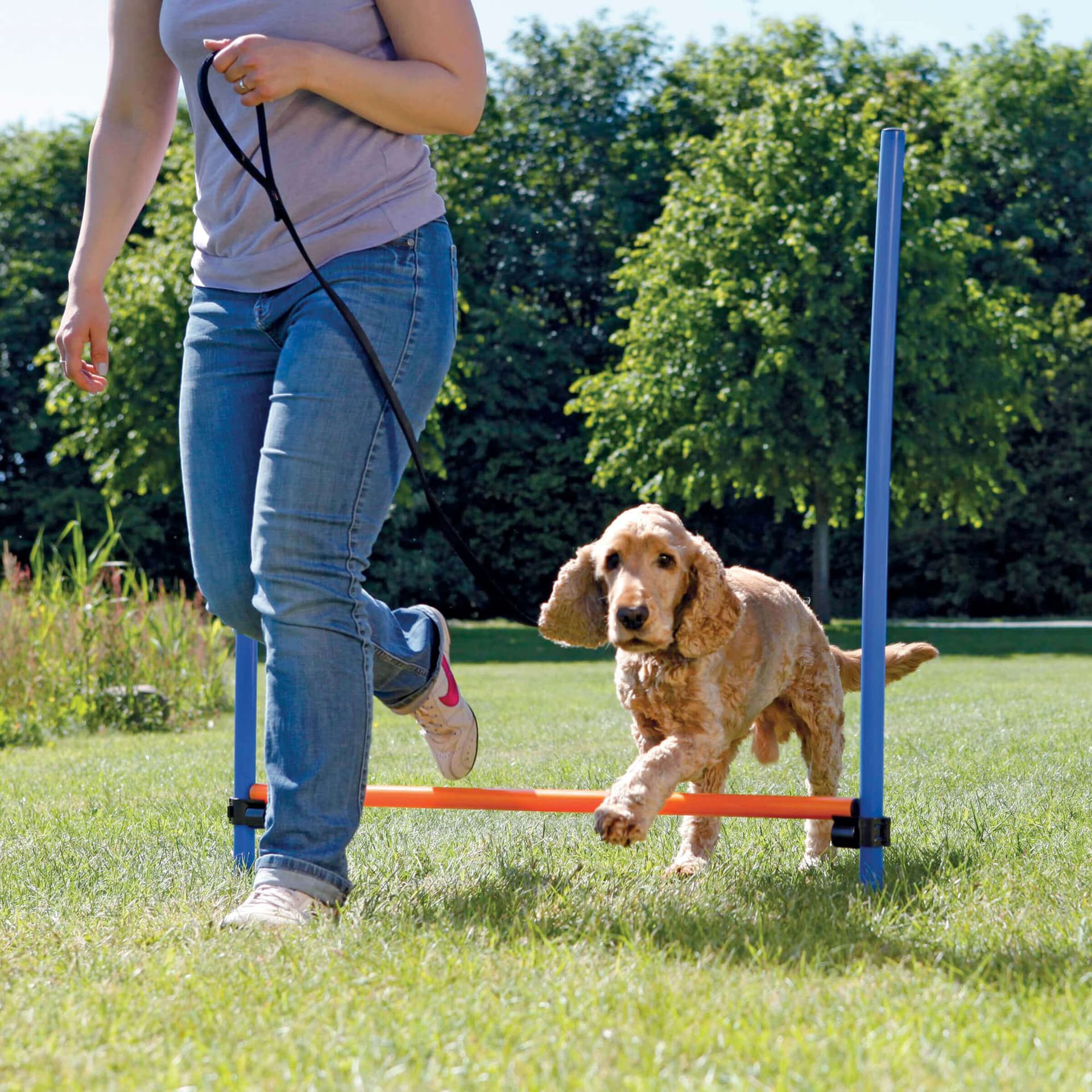 Activity Agility Hürde