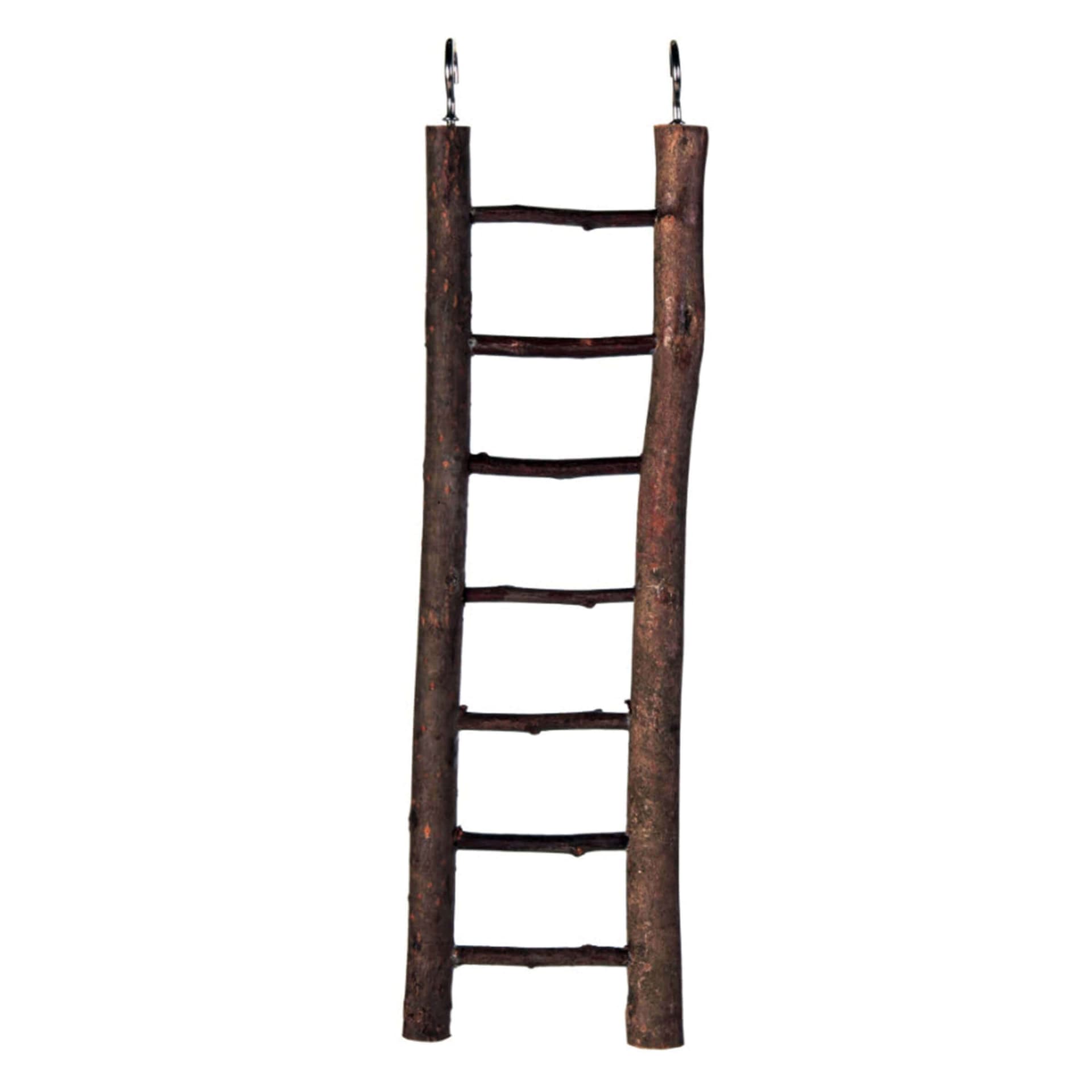 Sittichleiter 5 Stufen