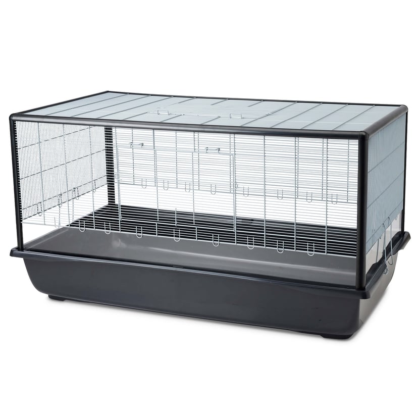 Nagerheim Aura 120 Plexi Knock Down