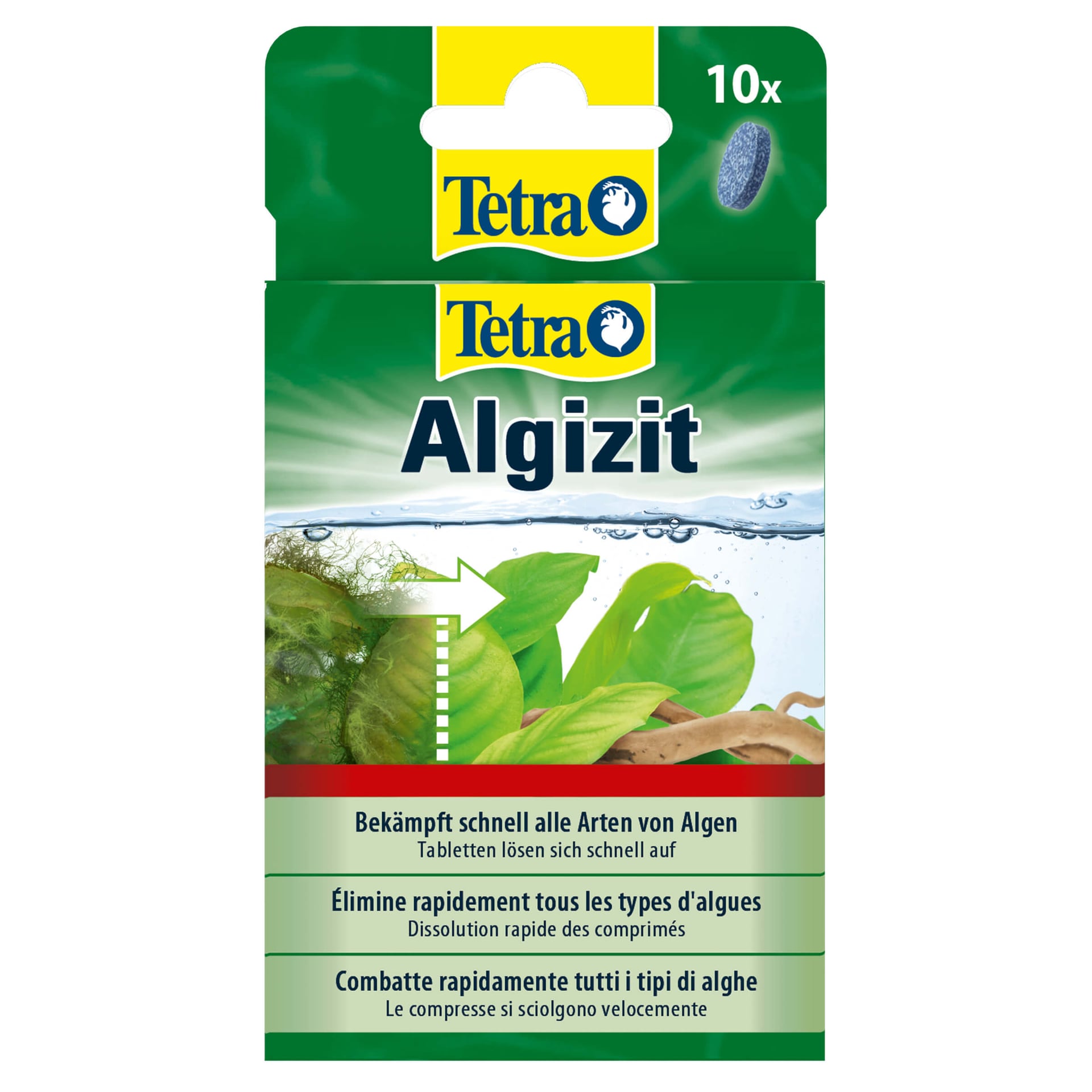 Algizit