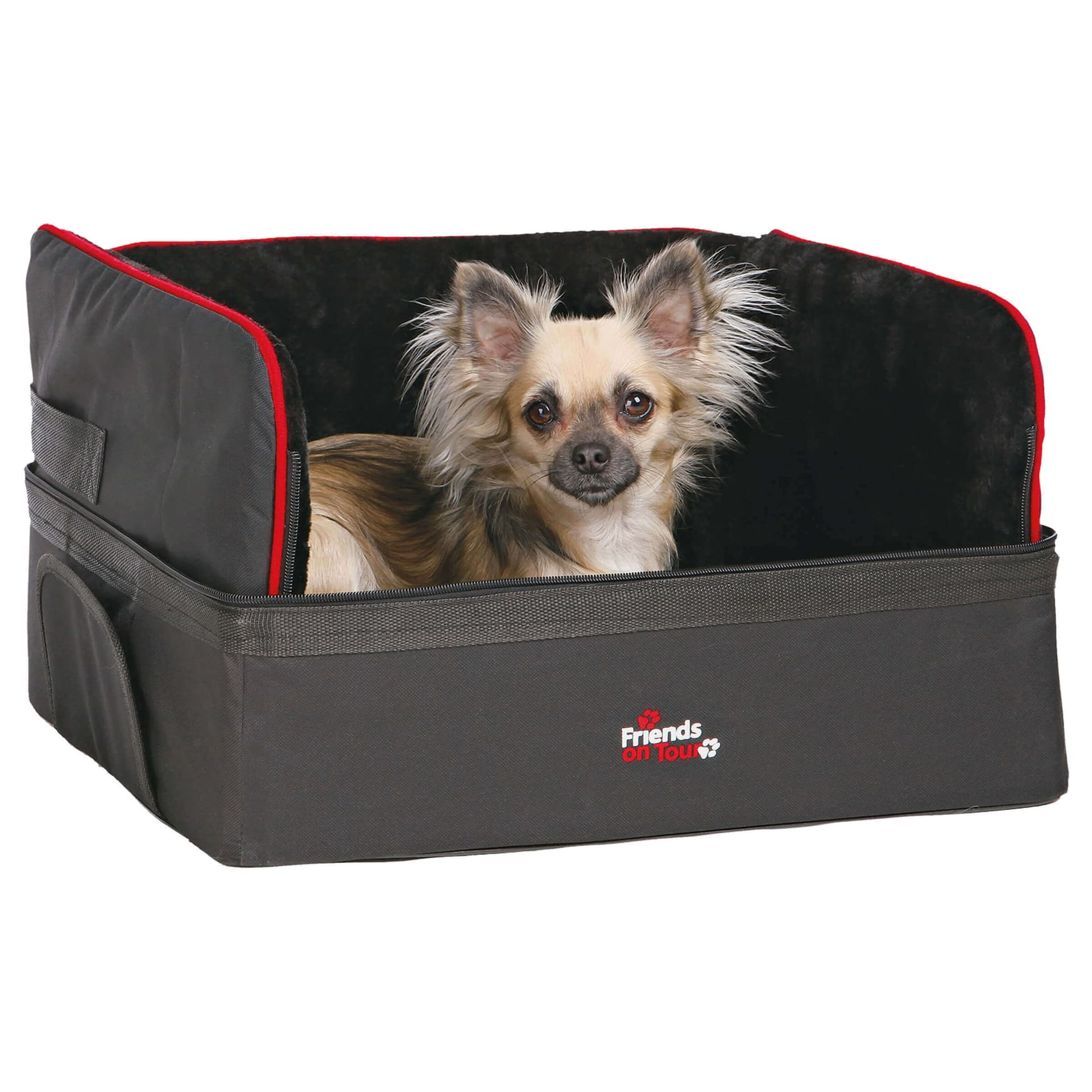 Autositz für kleine Hunde